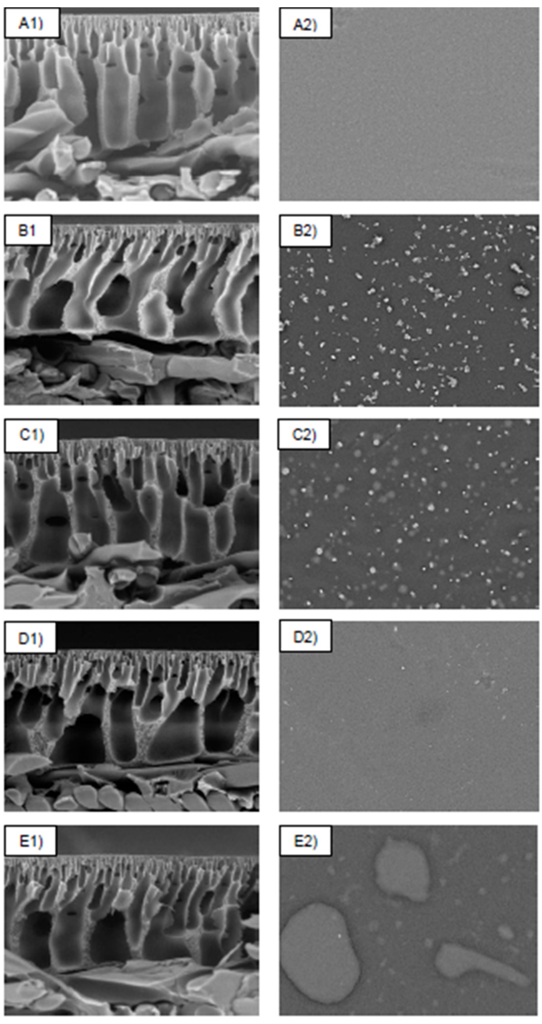 Separations 10 00188 g002