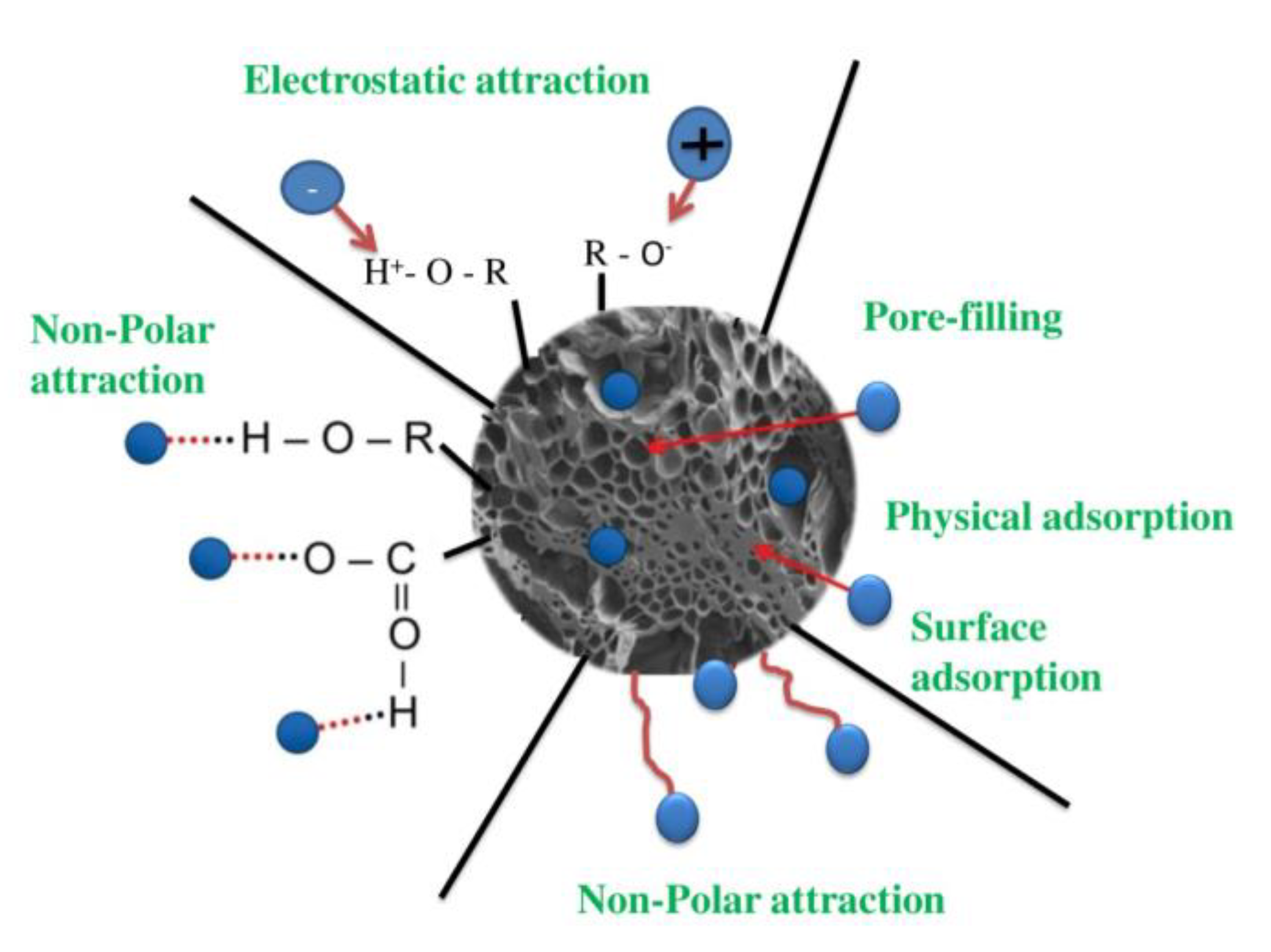 Separations 10 00197 g004