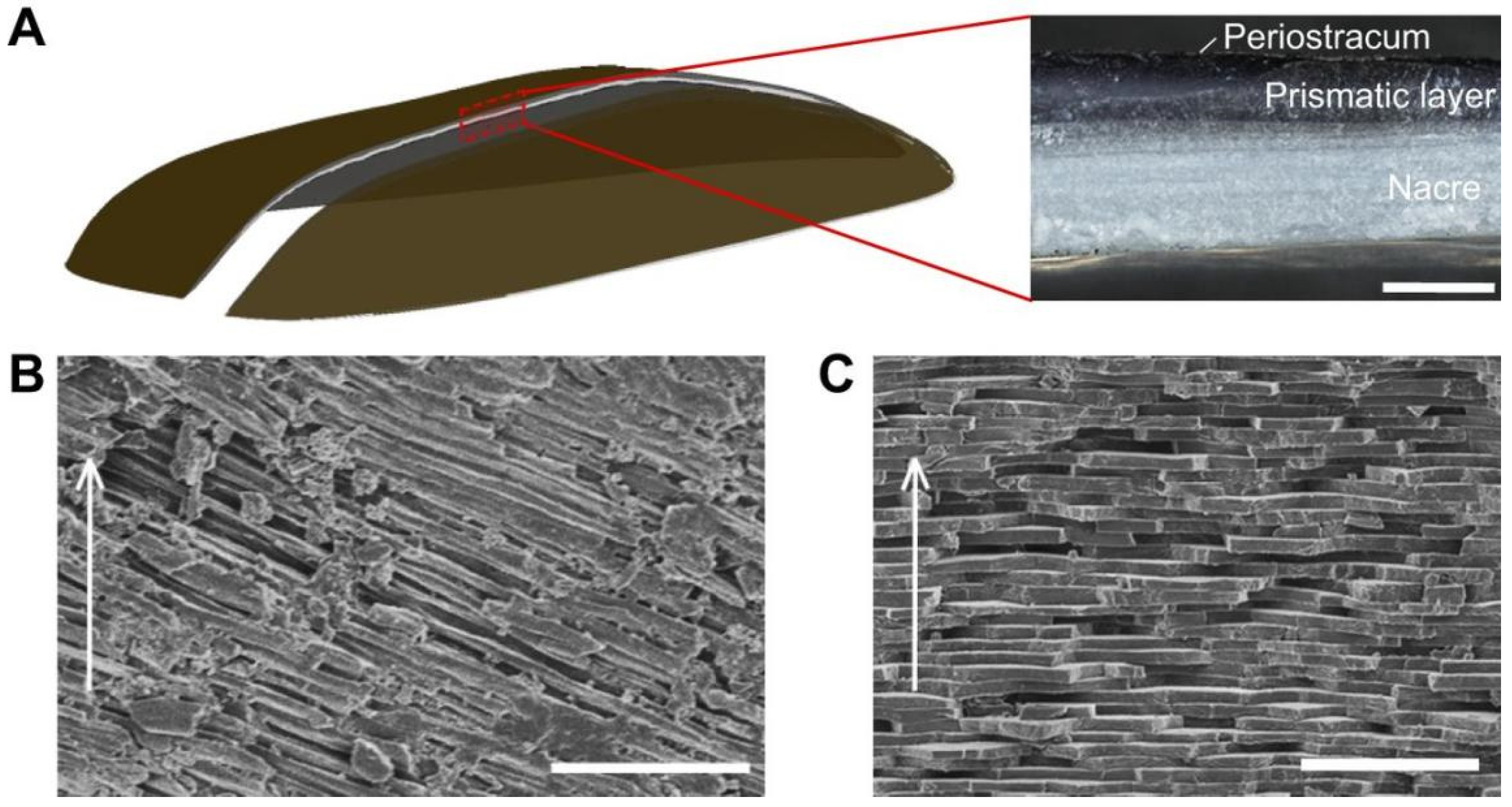 Separations 10 00205 g001