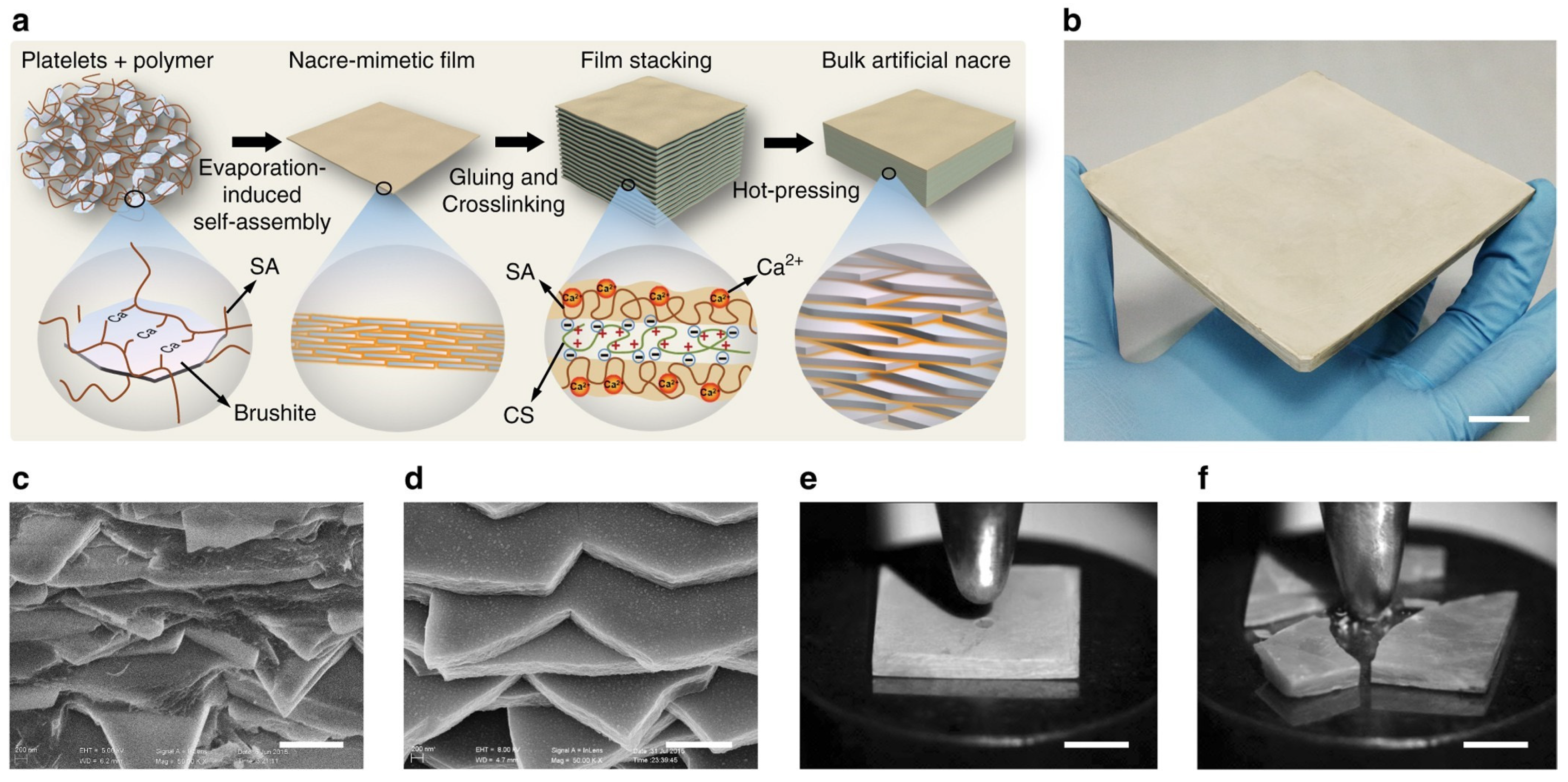 Separations 10 00205 g003