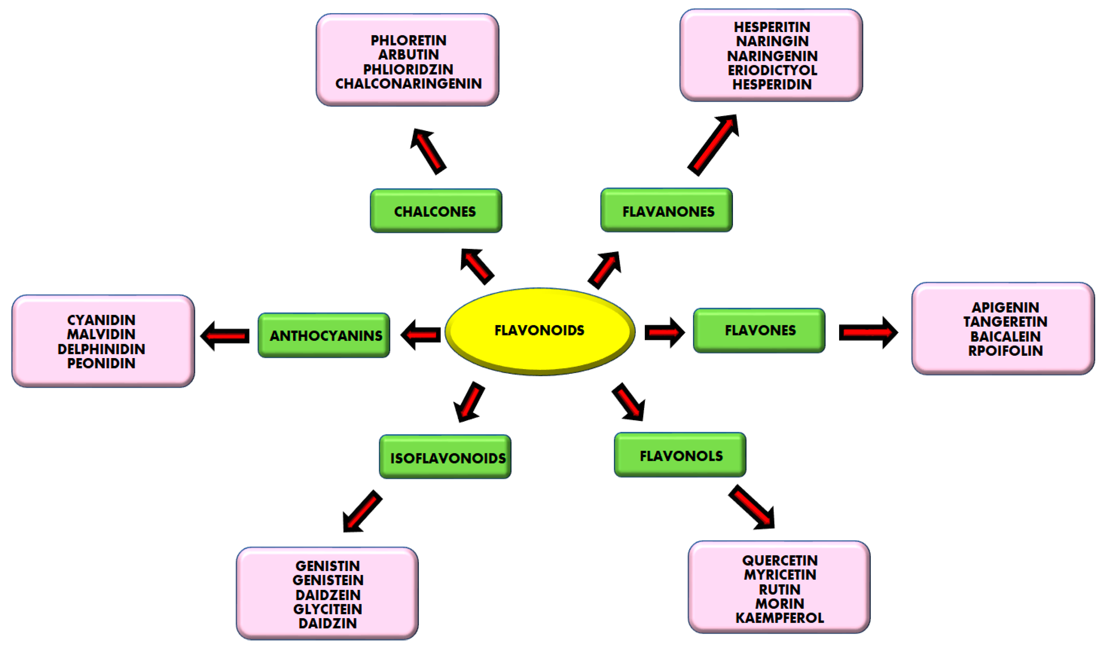 Separations 10 00207 g001