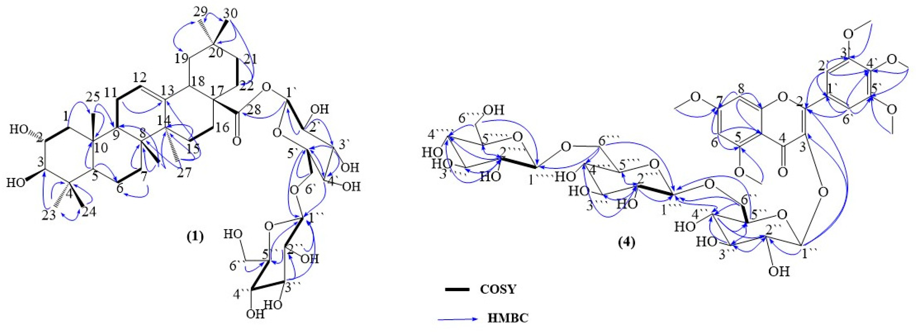 Separations 10 00209 g002