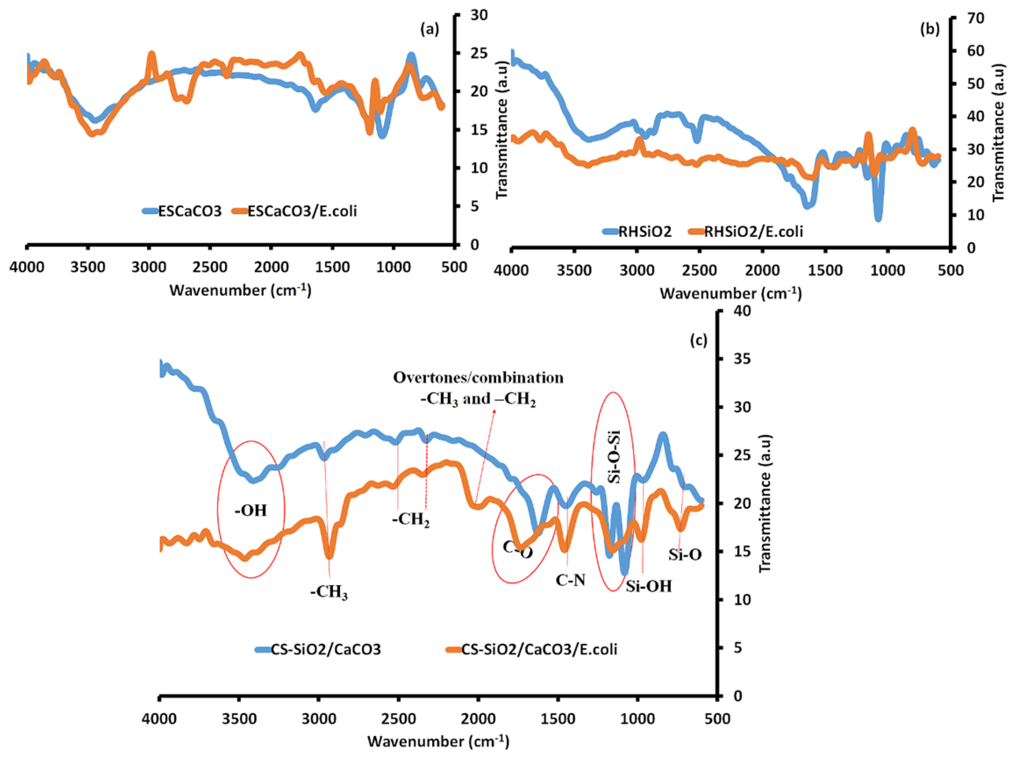 Separations 10 00212 g007