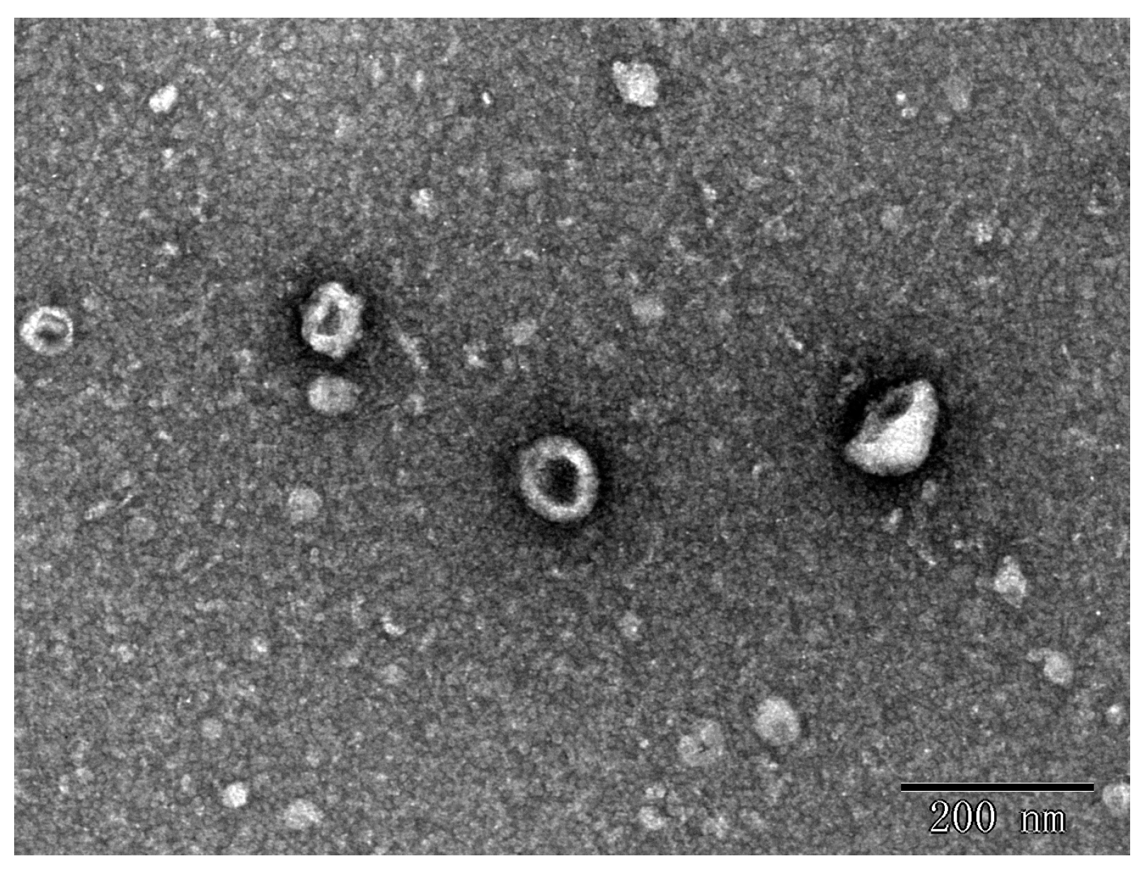 Separations 10 00218 g003