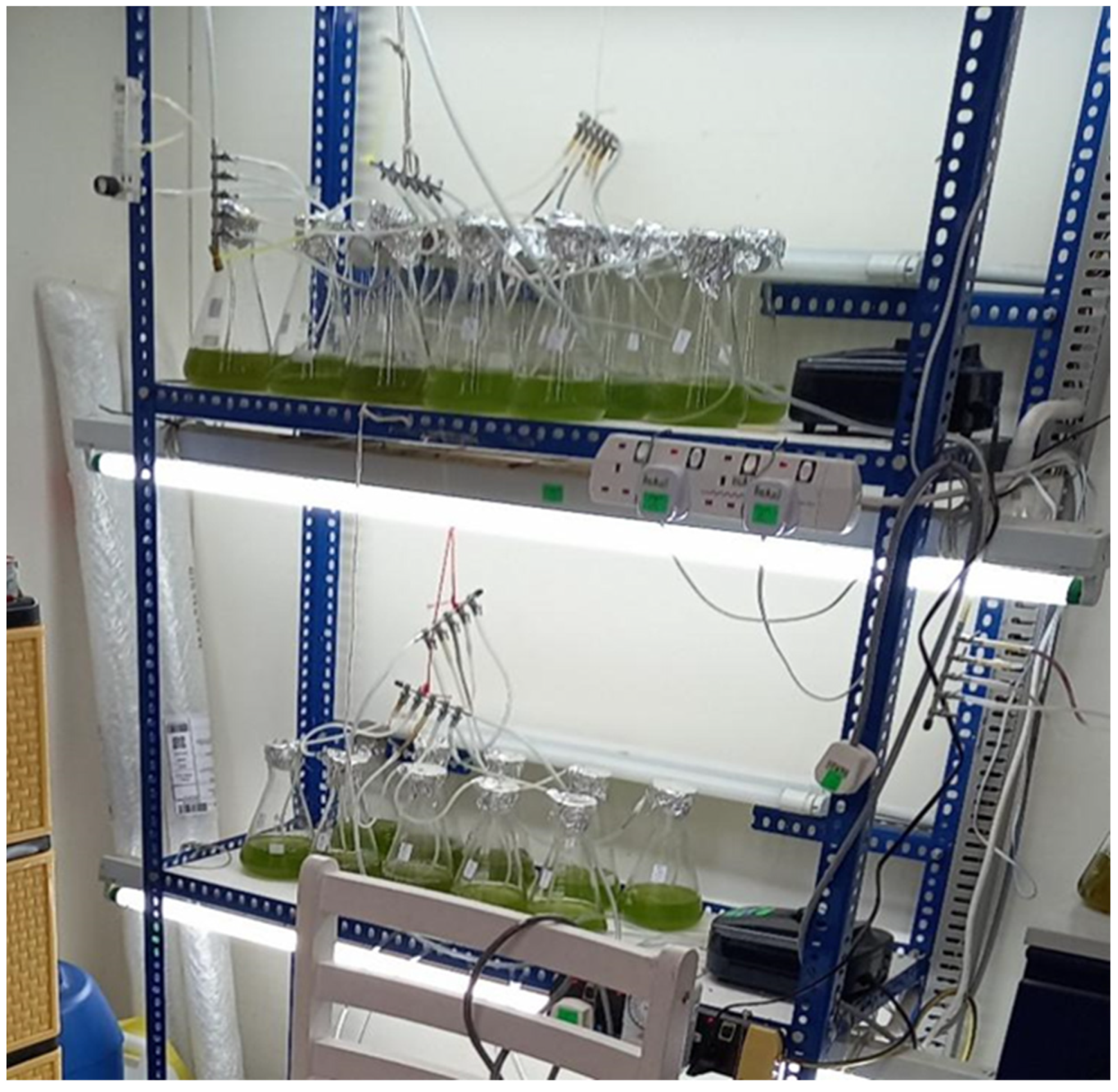 Separations 10 00229 g002