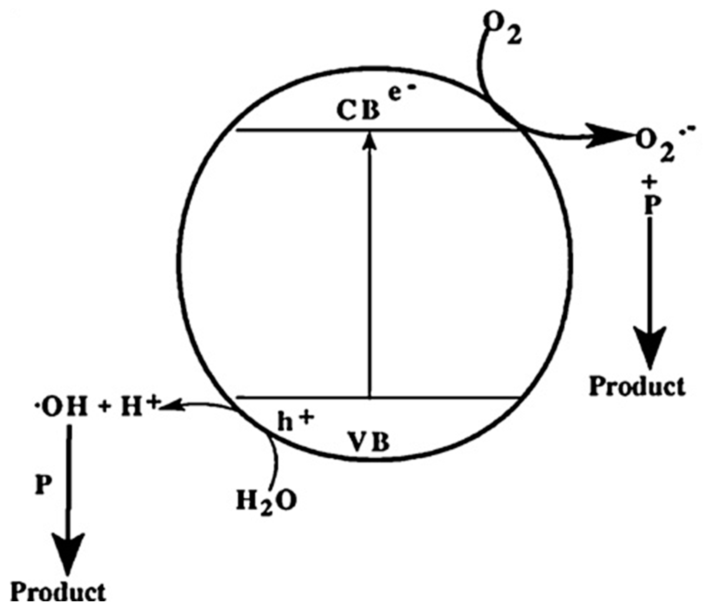 Separations 10 00230 g003