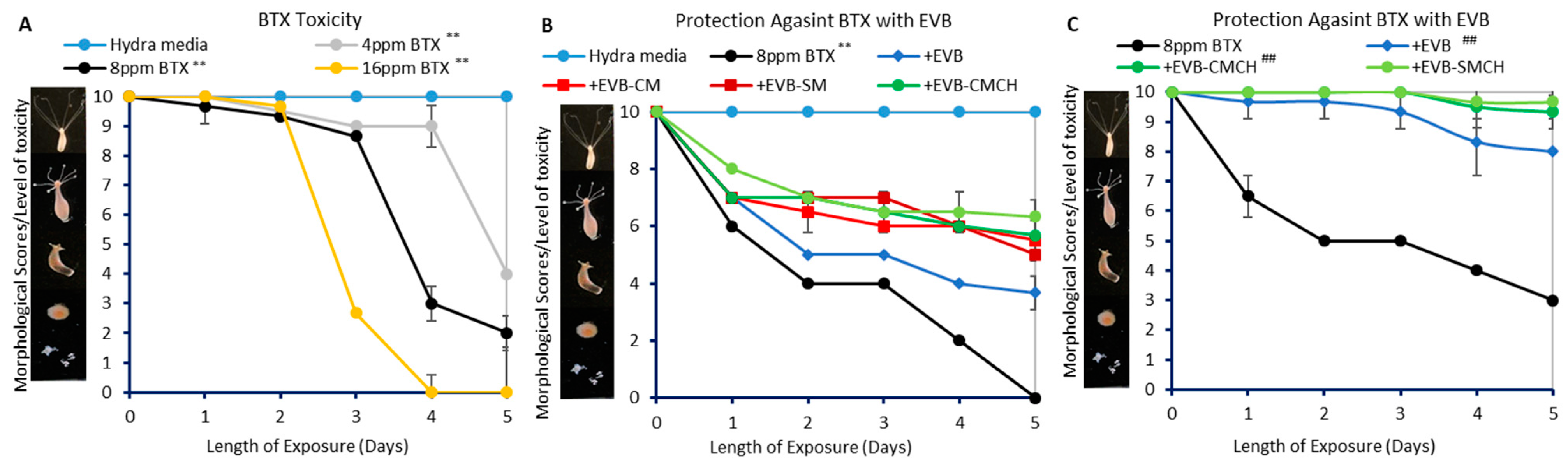 Separations 10 00237 g010 Separations 10 00237 g010