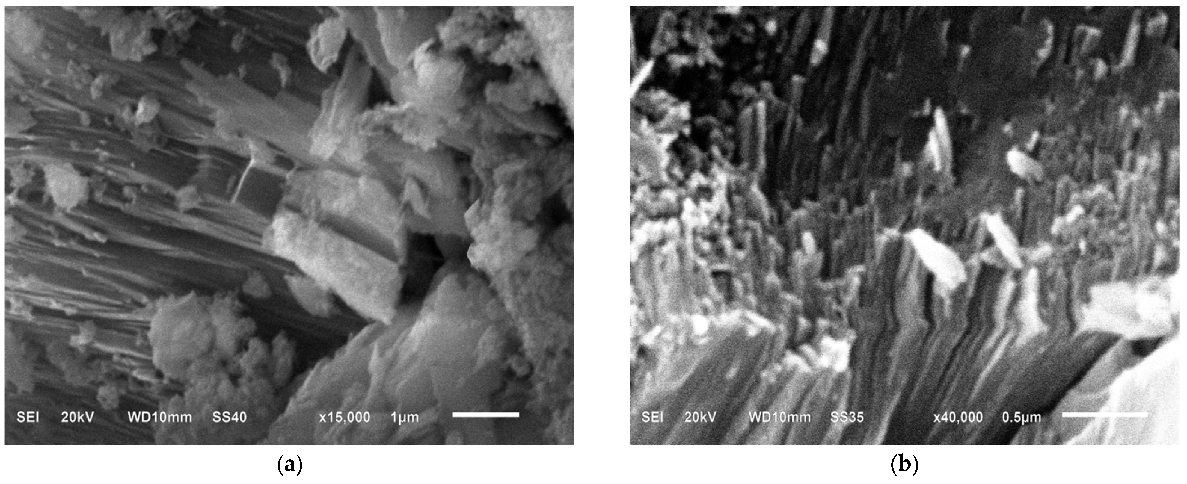 Separations 10 00238 g004