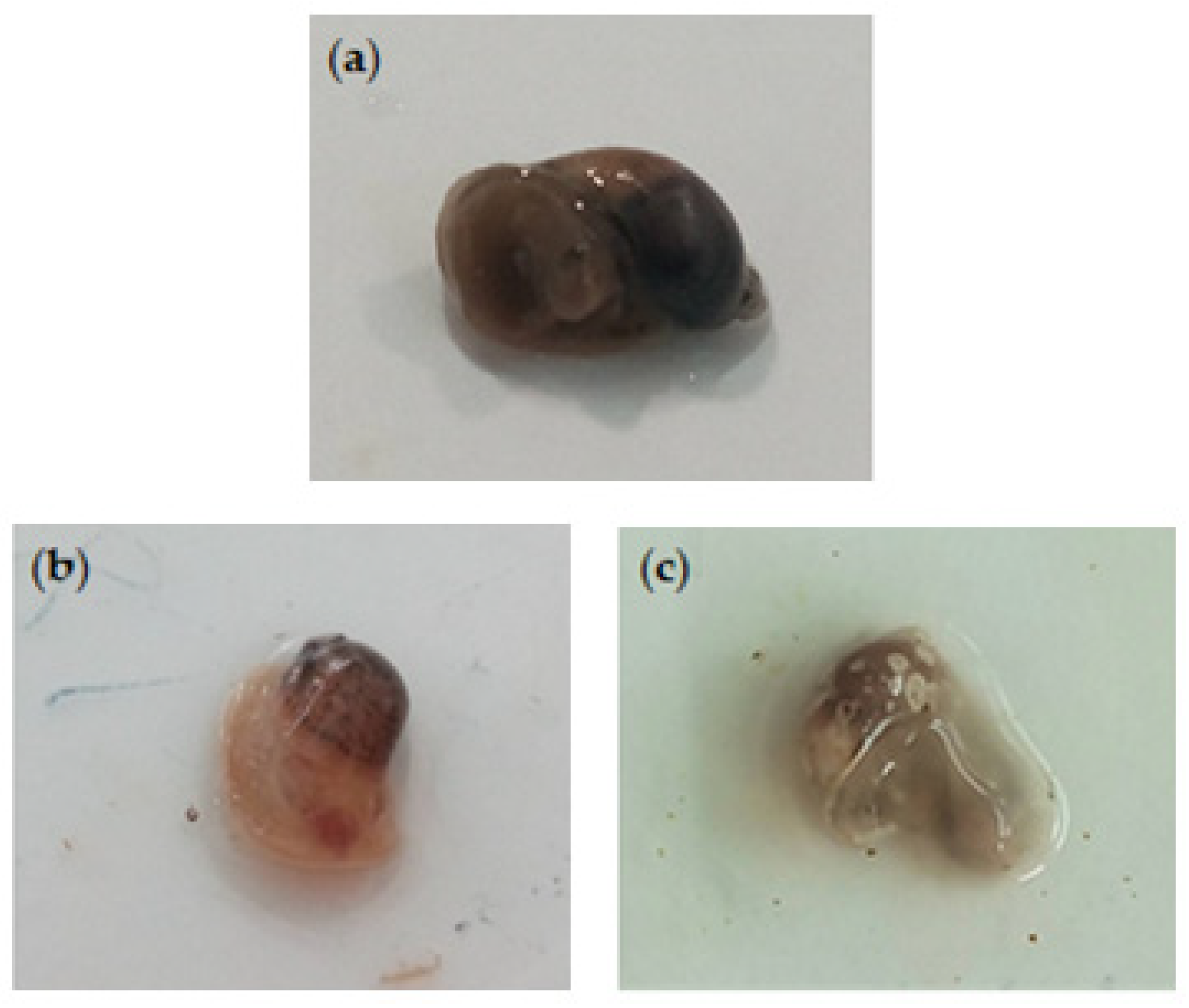 Separations 10 00241 g003