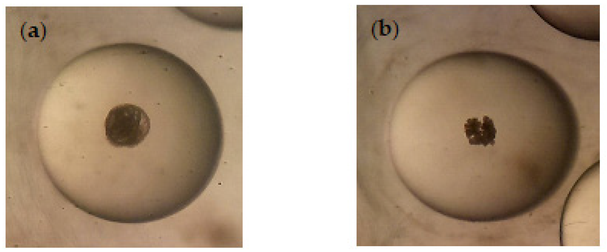 Separations 10 00241 g004