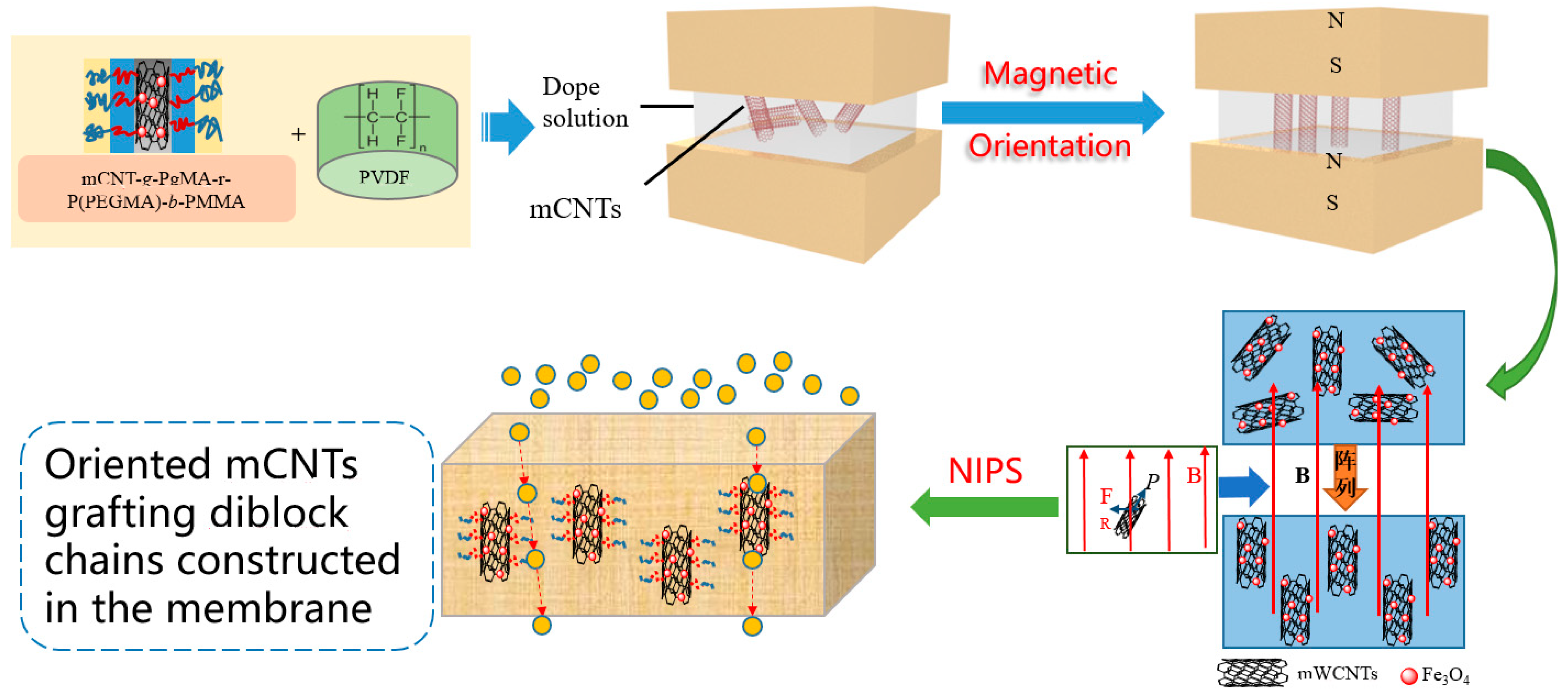 Separations 10 00249 sch001