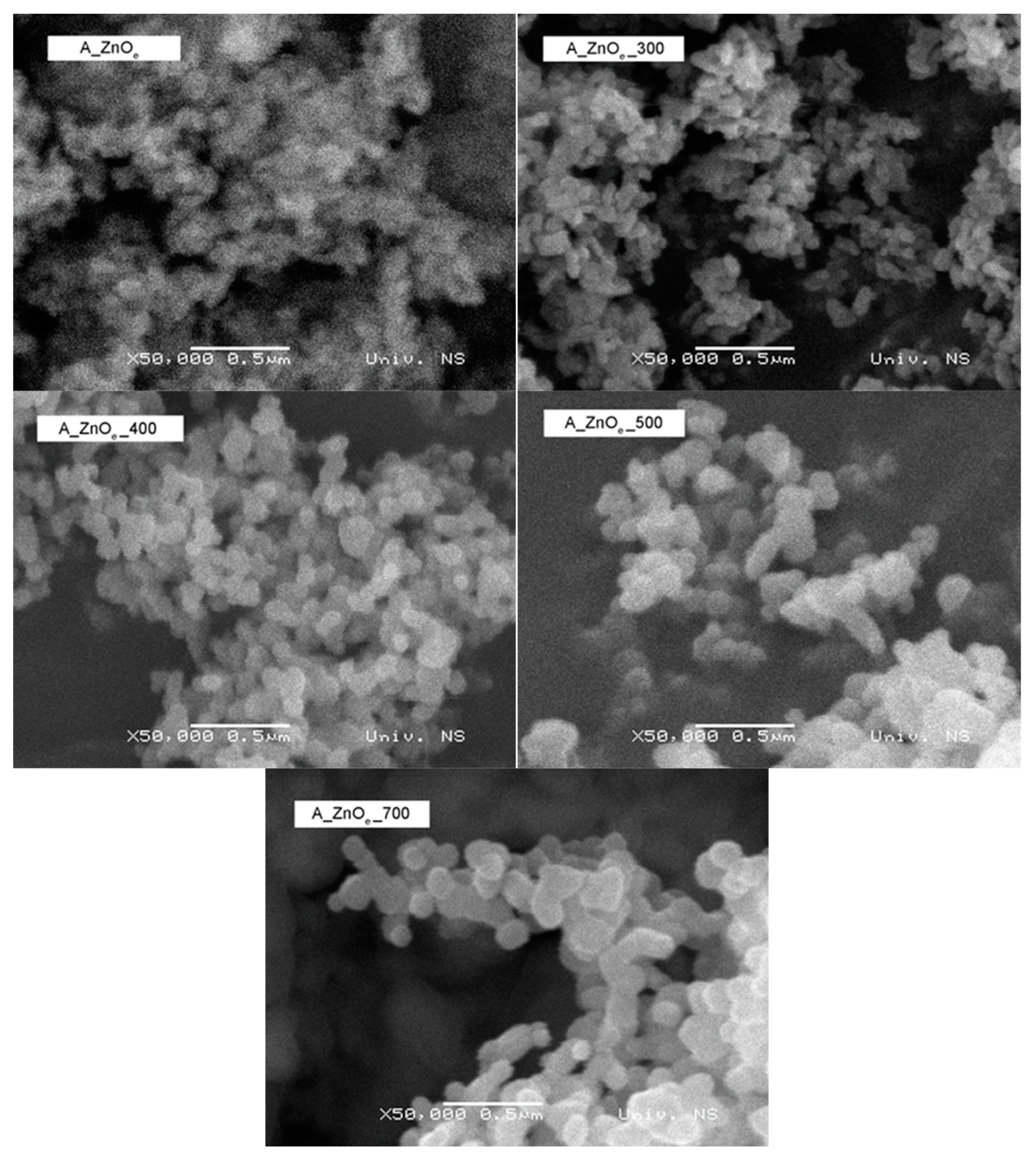 Separations 10 00258 g003b