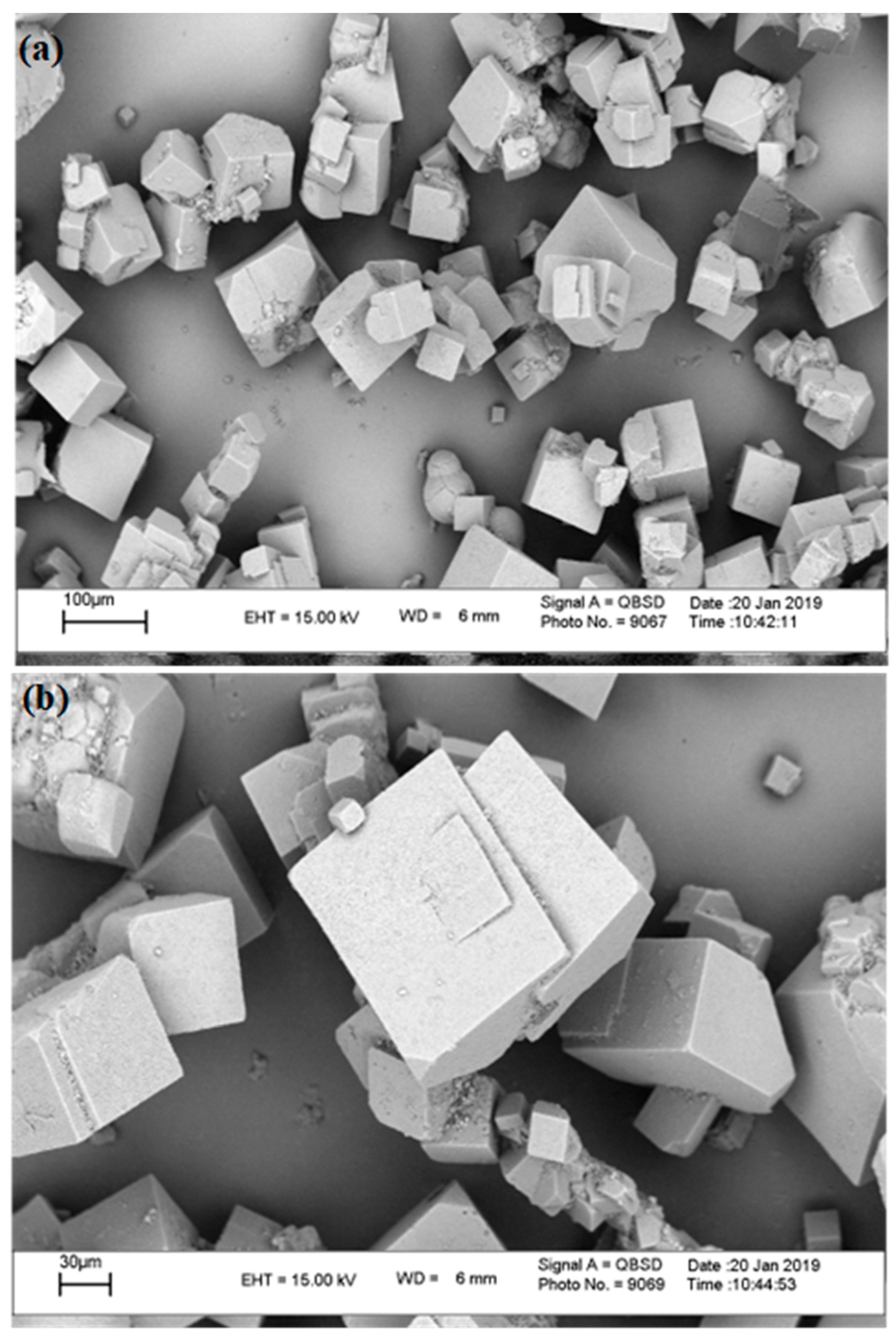 Separations 10 00261 g002