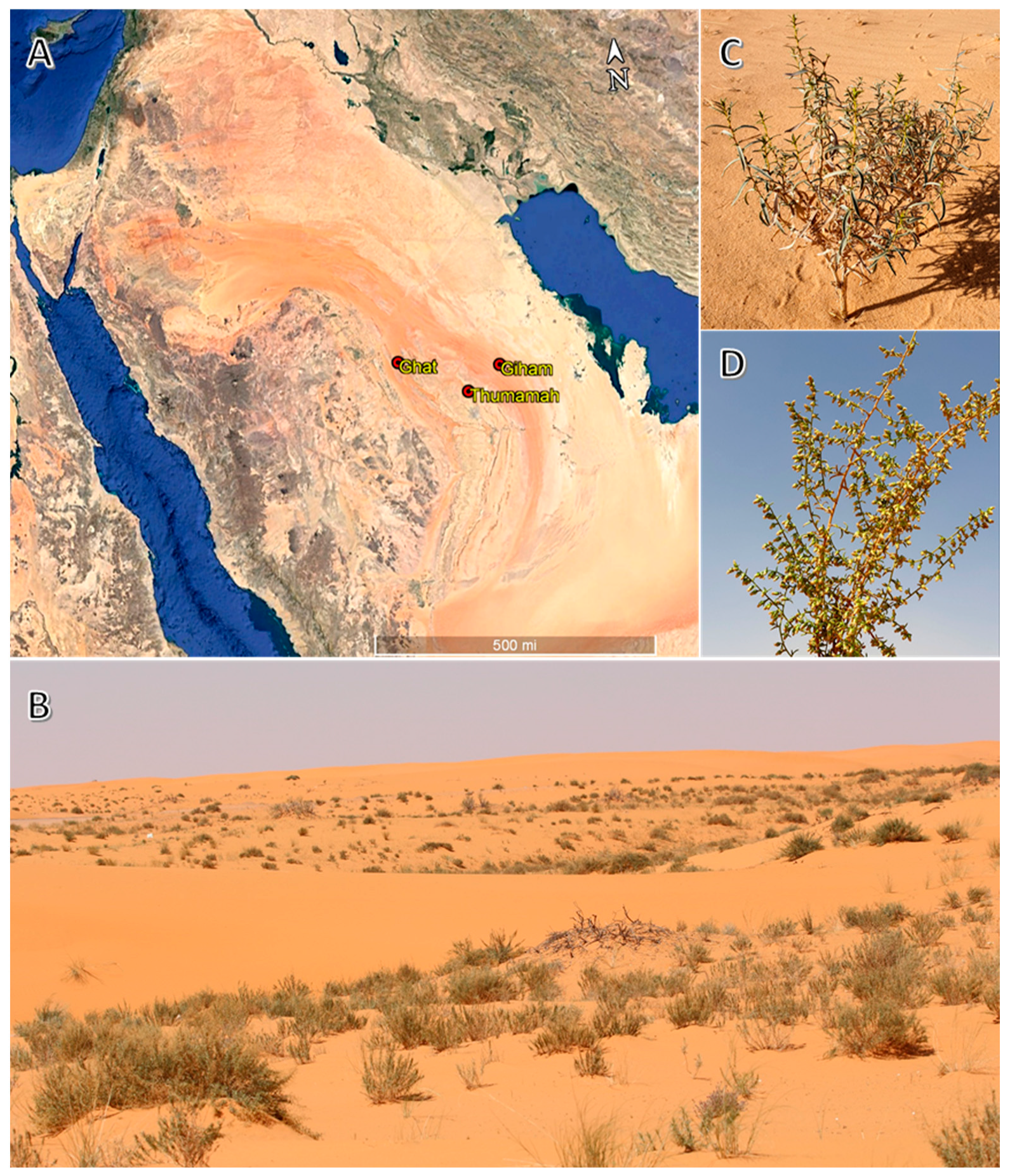 Separations 10 00263 g001 Separations 10 00263 g001