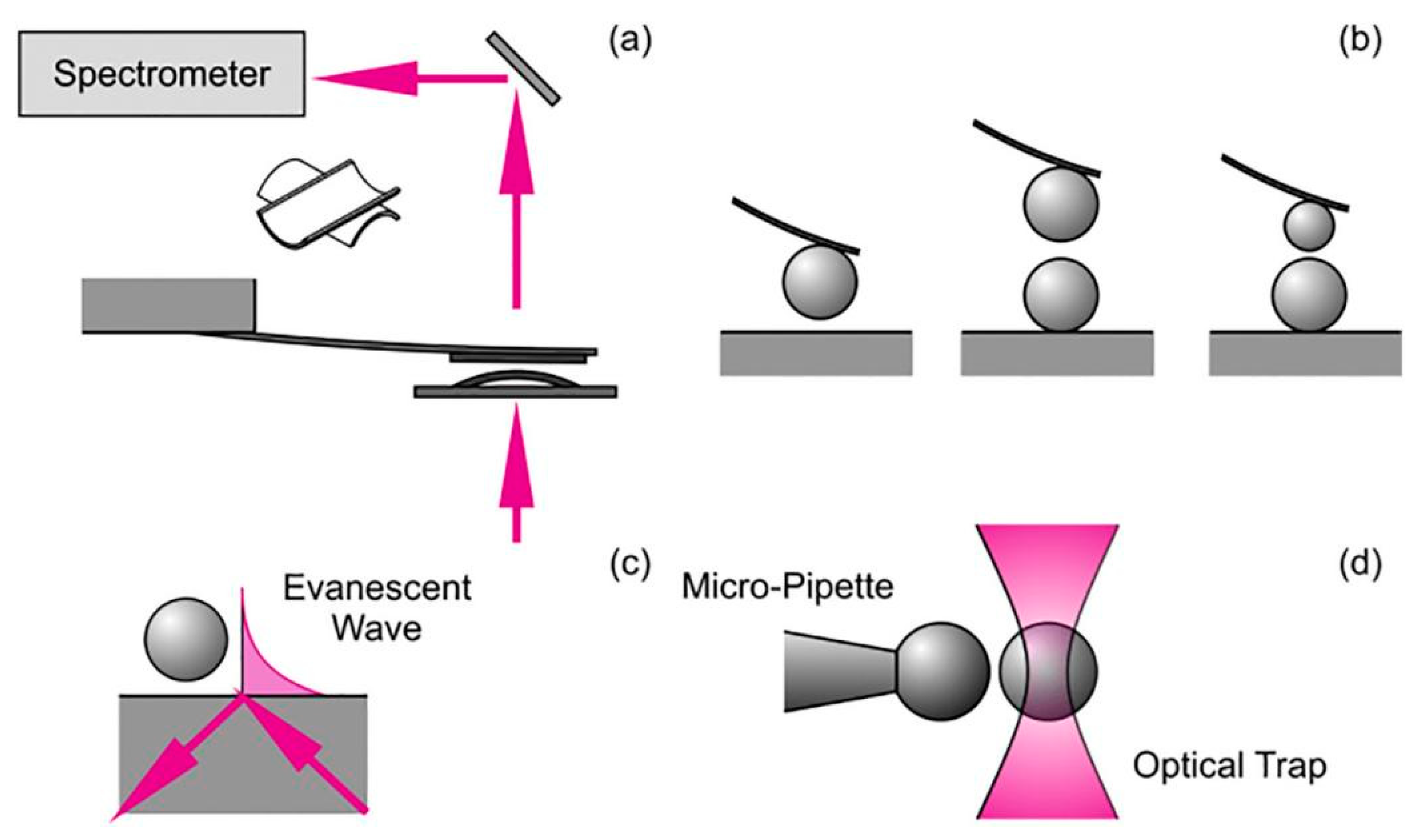 Separations 10 00264 g009