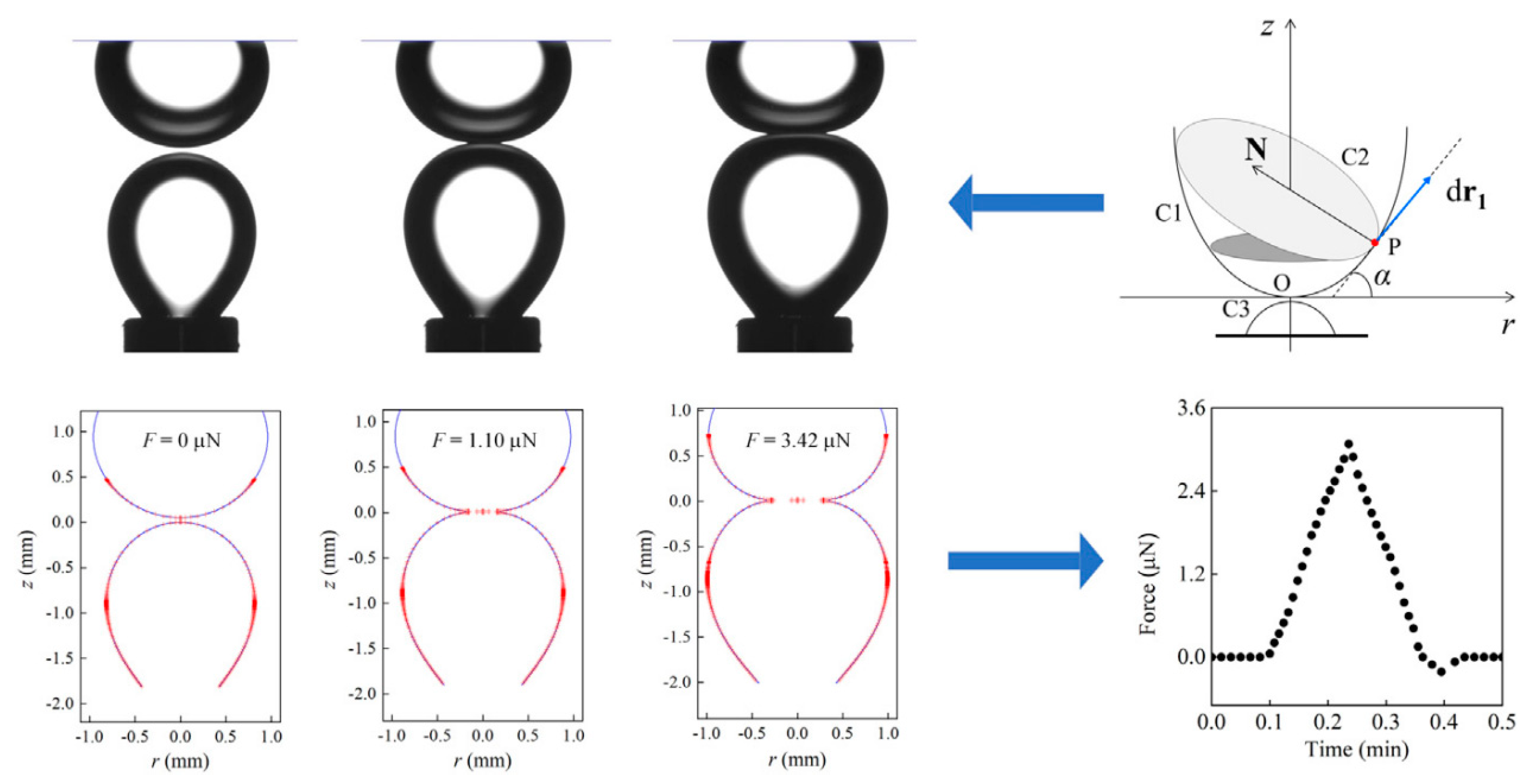 Separations 10 00264 g010