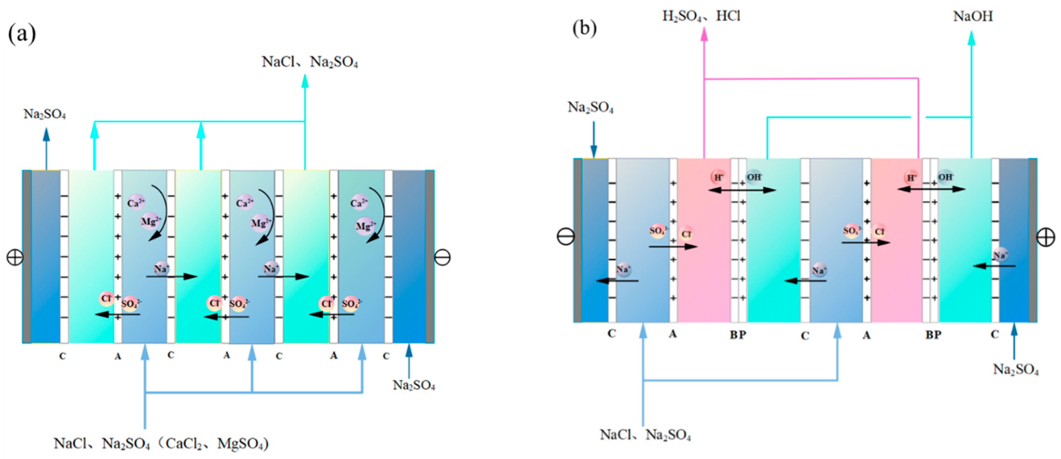 Separations 10 00269 g002