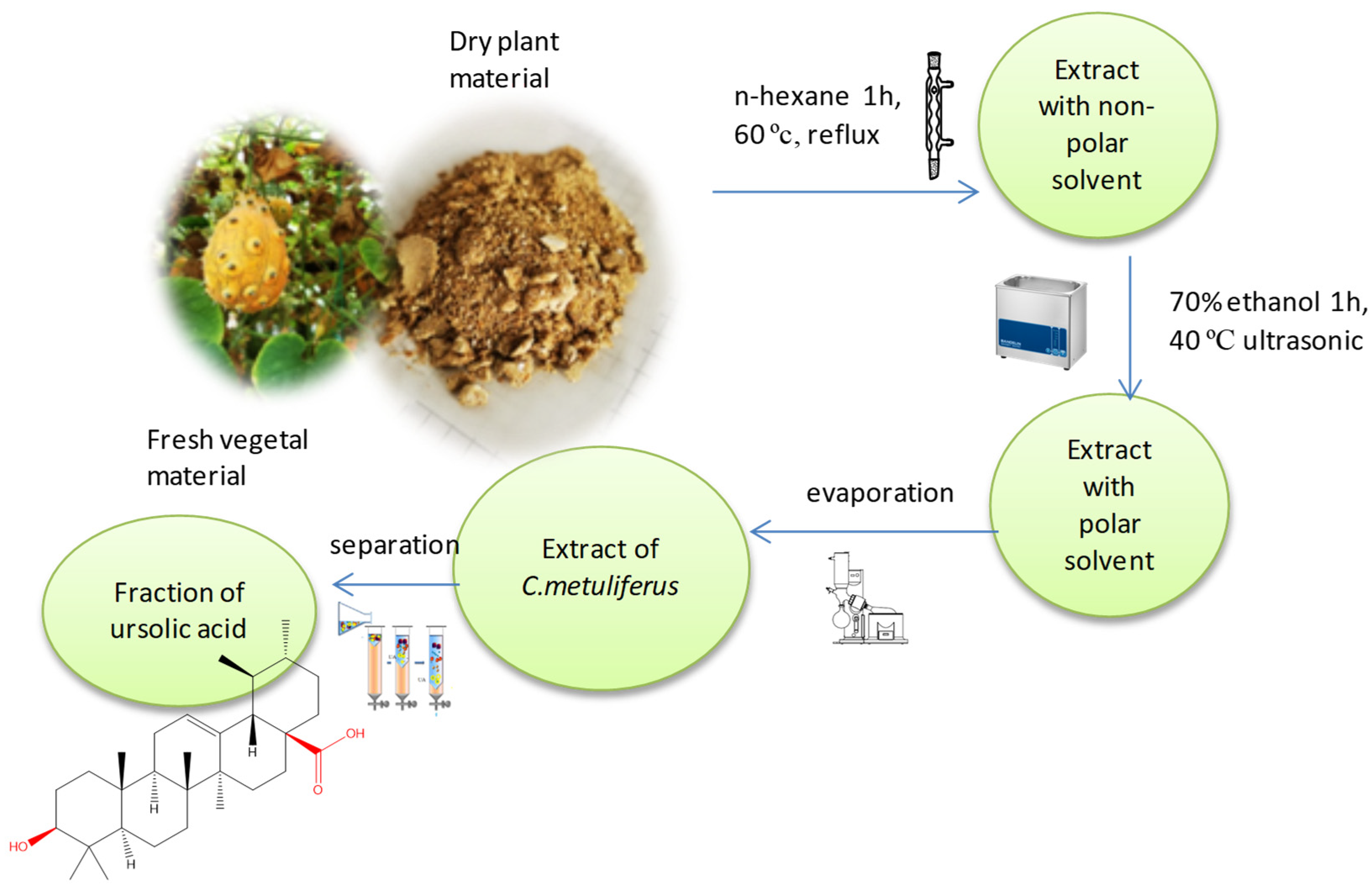 Separations 10 00274 g001