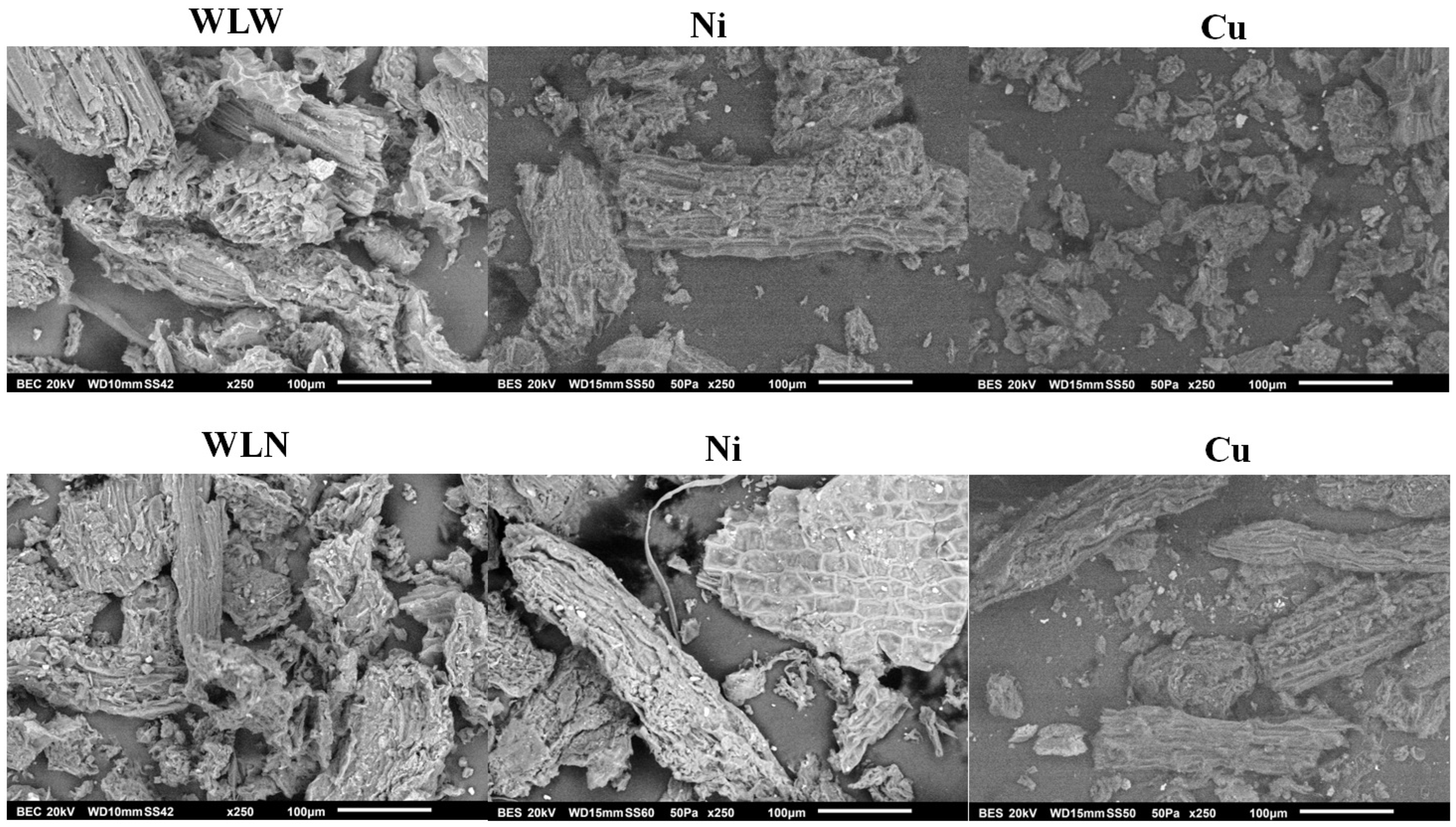 Separations 10 00289 g008