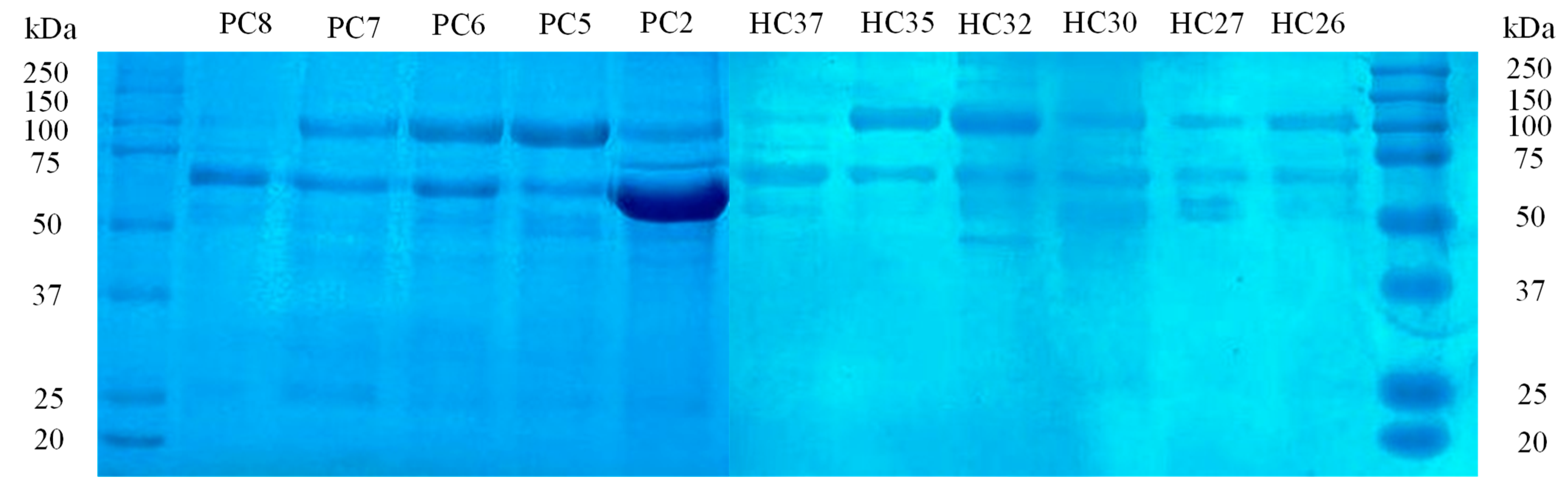 Separations 10 00291 g003