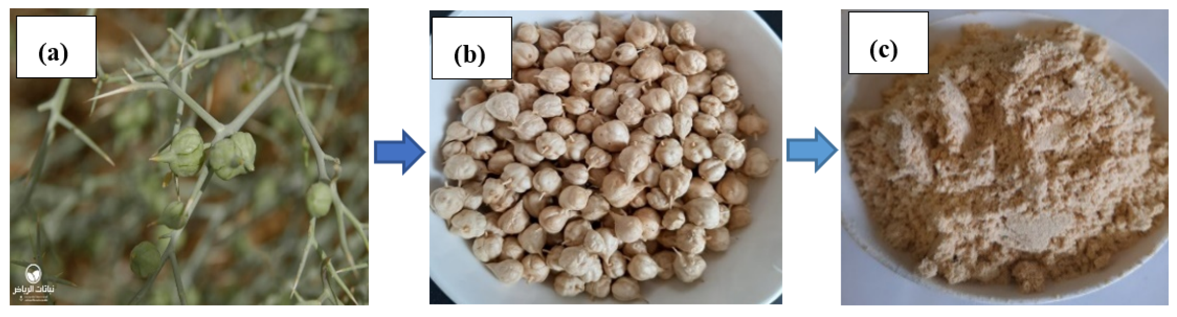 Separations 10 00296 g002