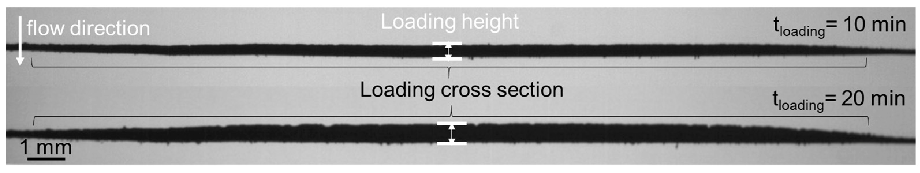 Separations 10 00297 g009