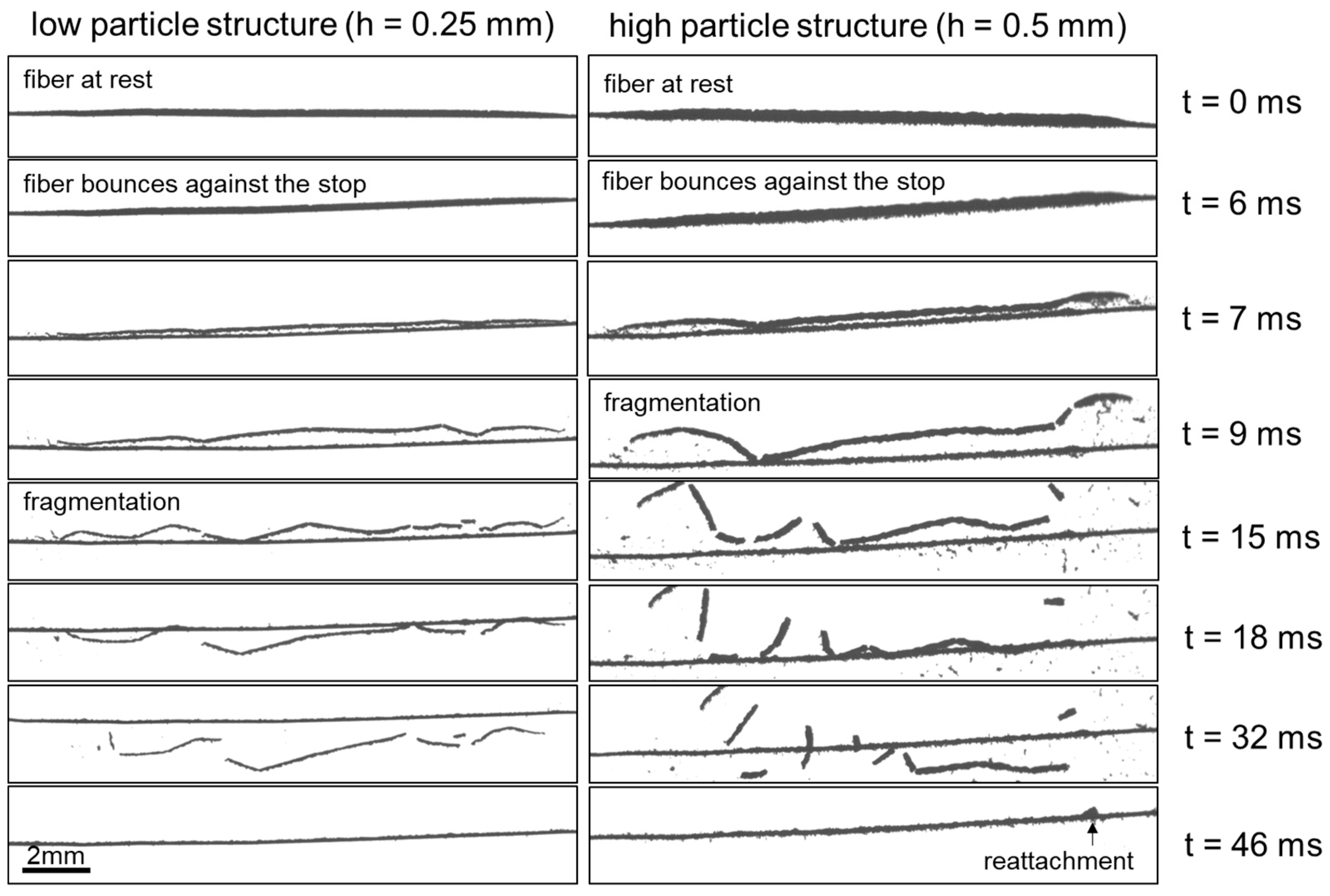 Separations 10 00297 g018