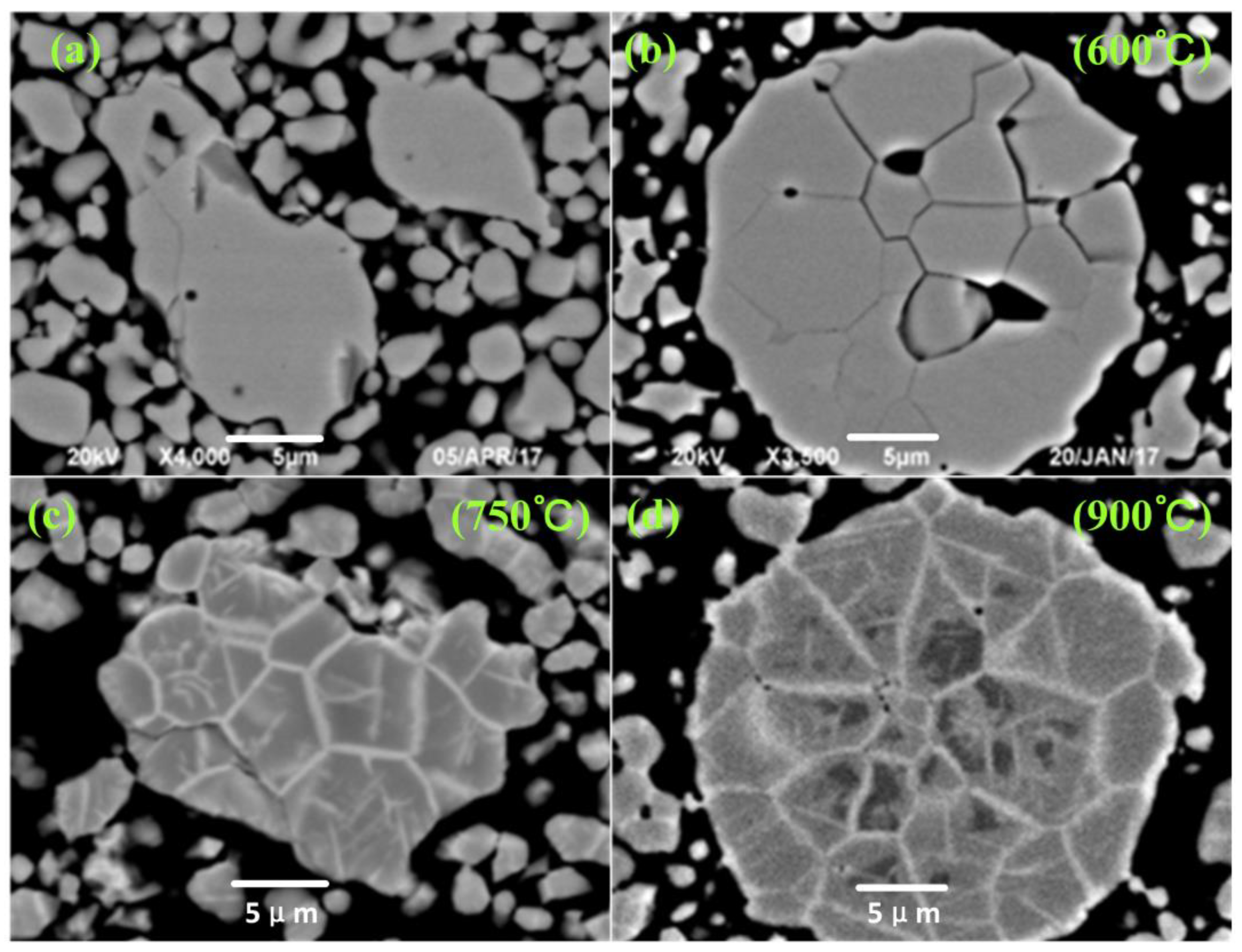 Separations 10 00299 g007
