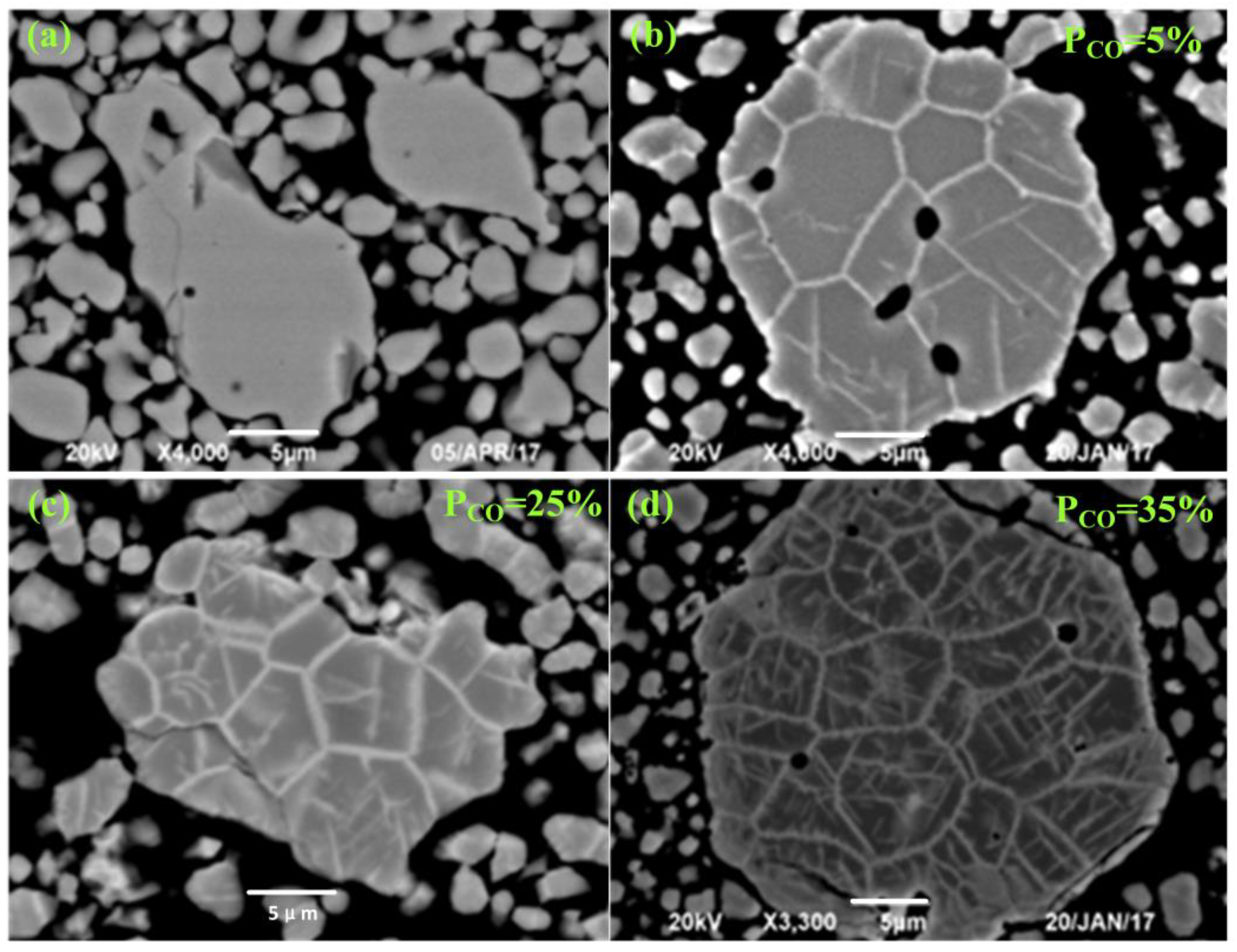 Separations 10 00299 g010