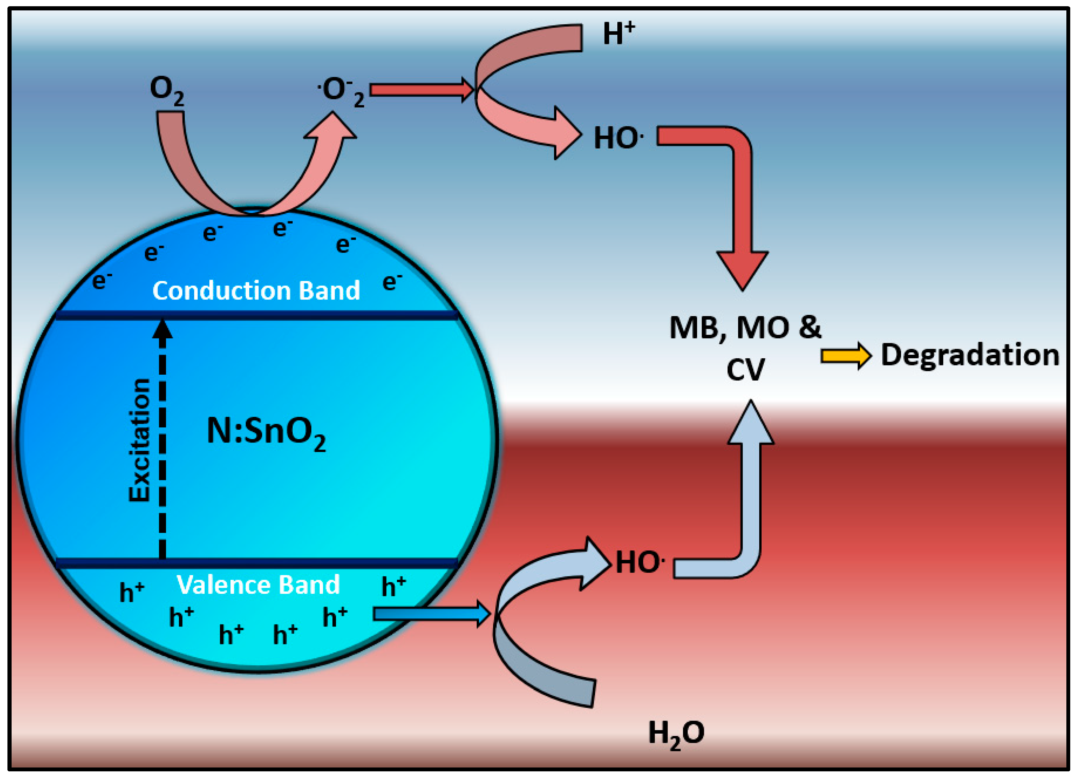 Separations 10 00322 g008