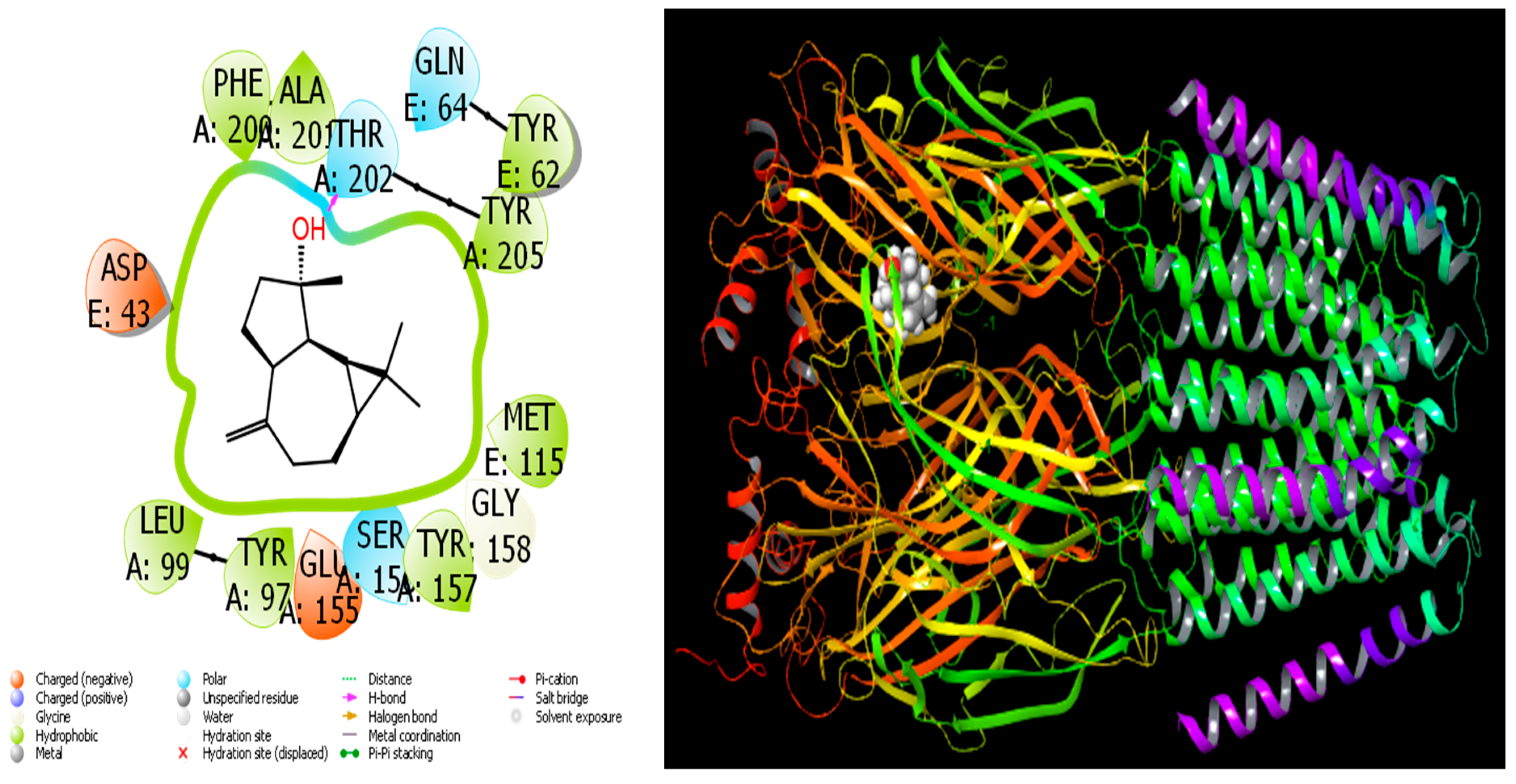 Separations 10 00329 g007 Separations 10 00329 g007