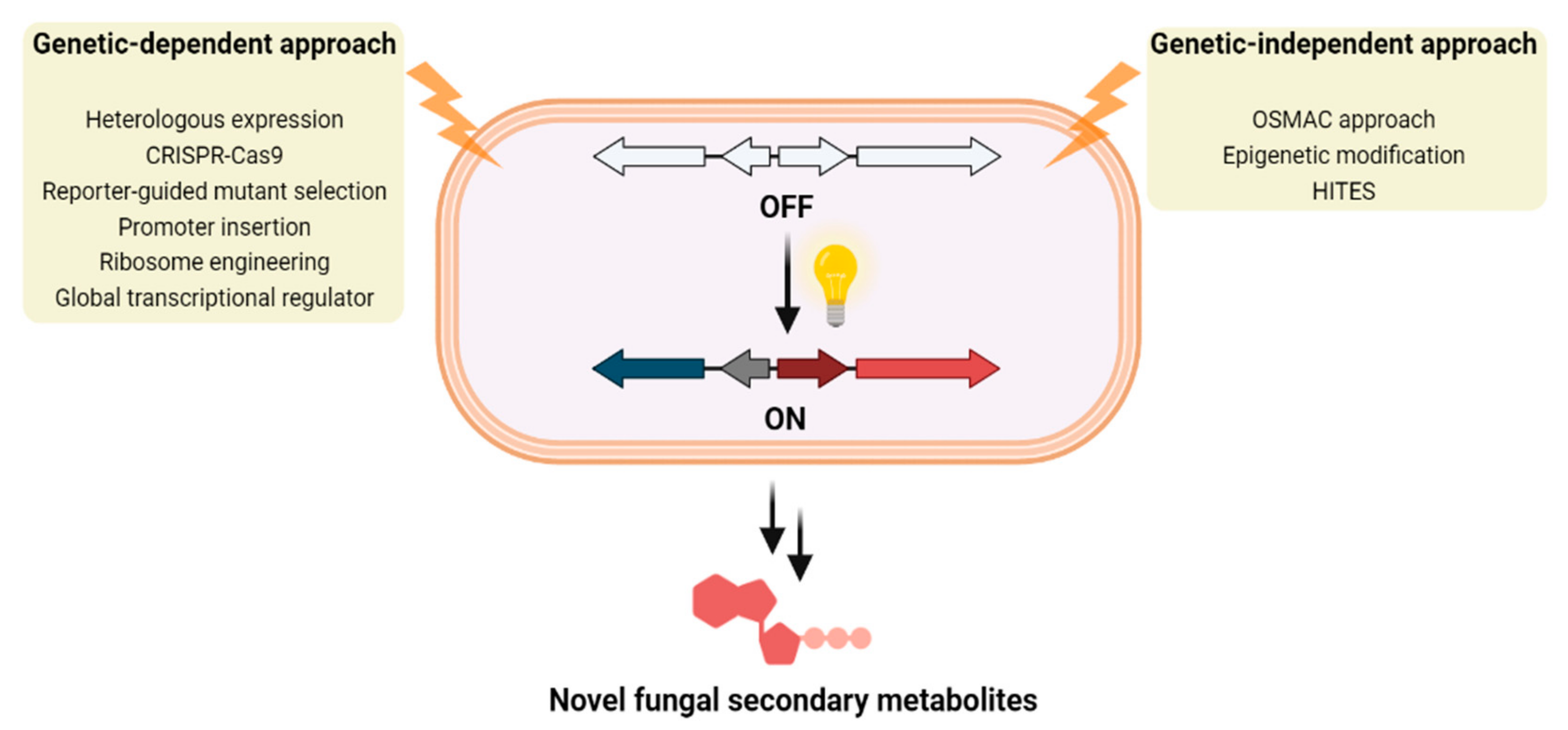Separations 10 00333 g001 Separations 10 00333 g001