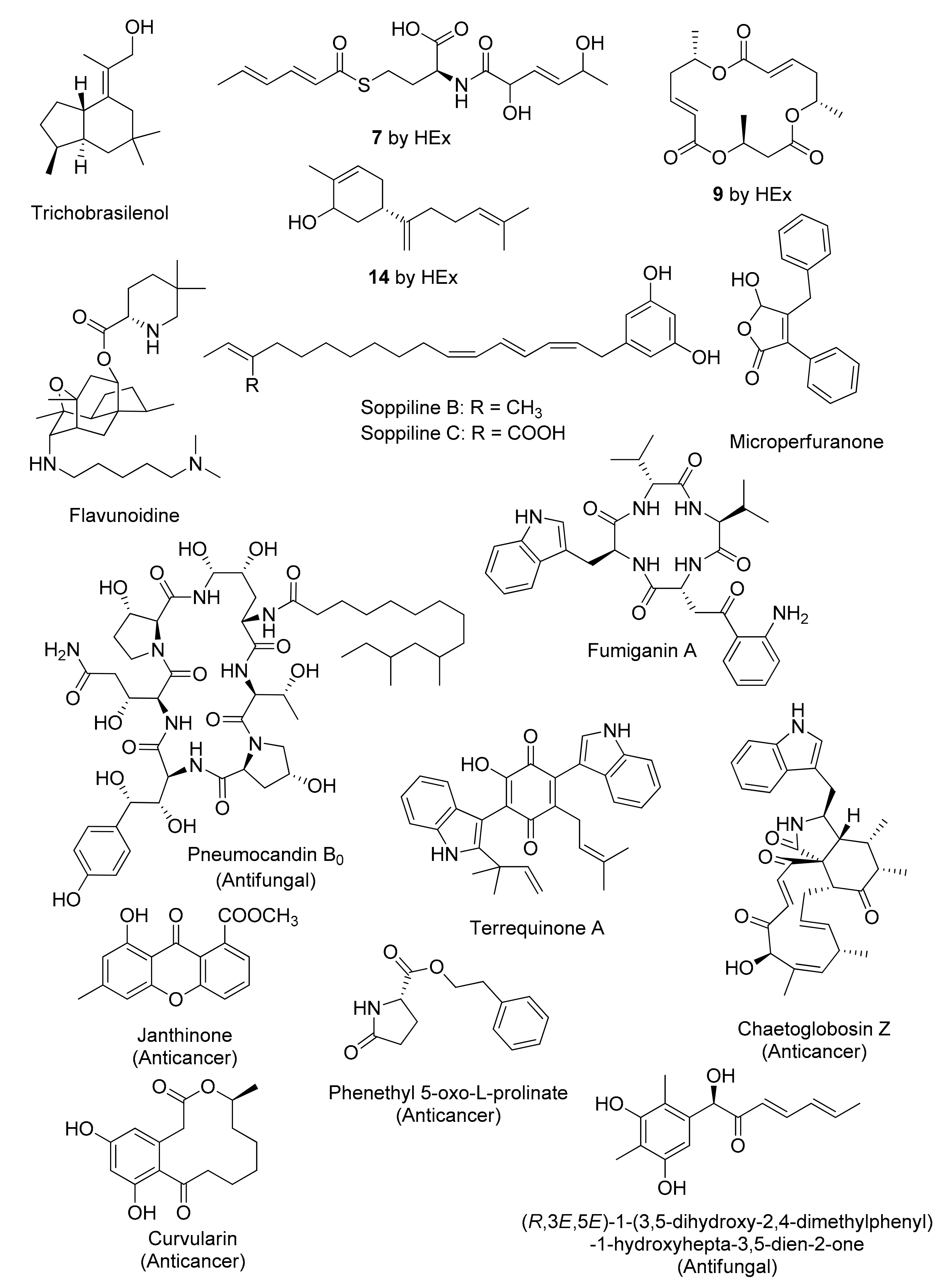 Separations 10 00333 g003 Separations 10 00333 g003
