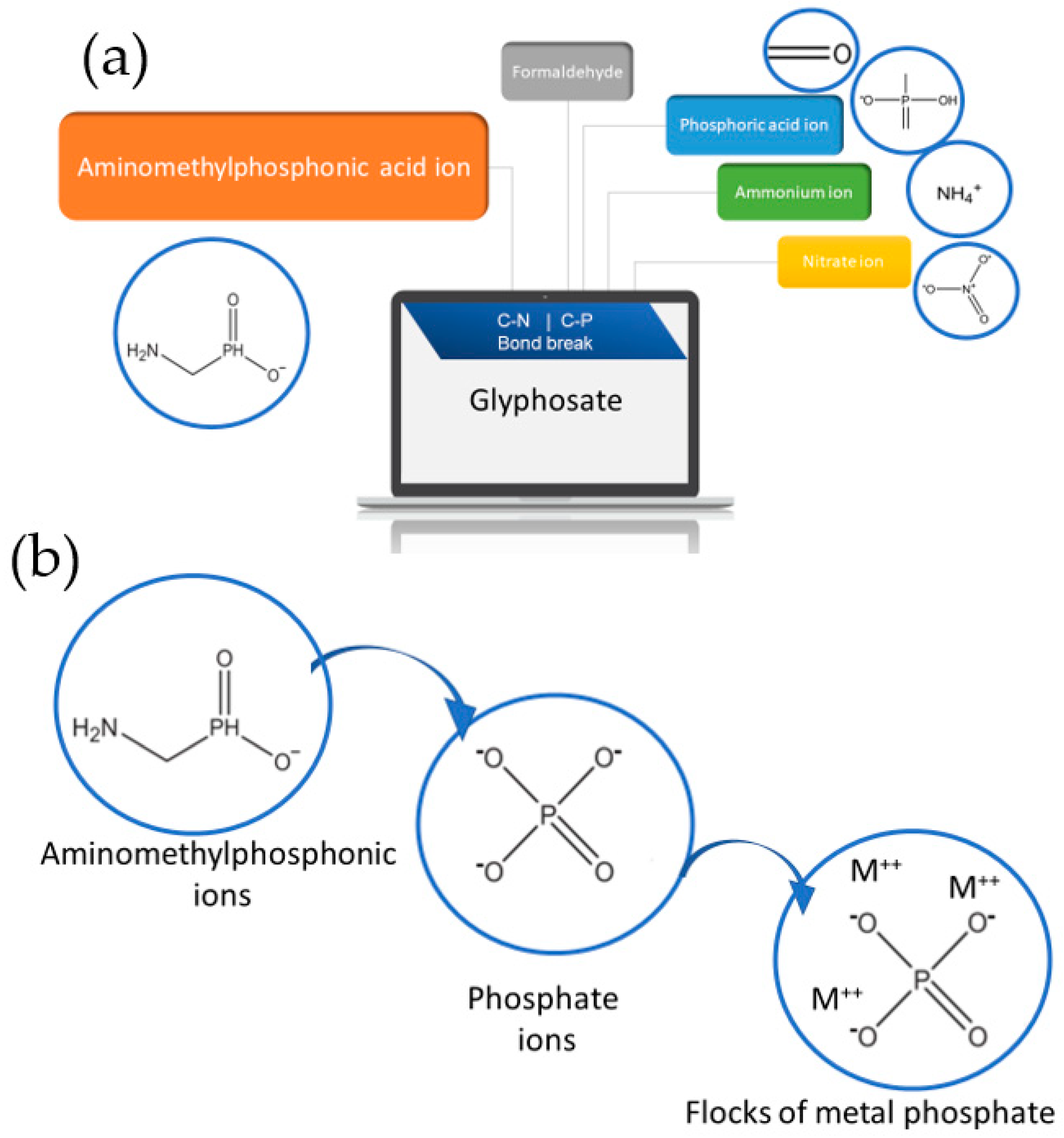 Separations 10 00337 g007