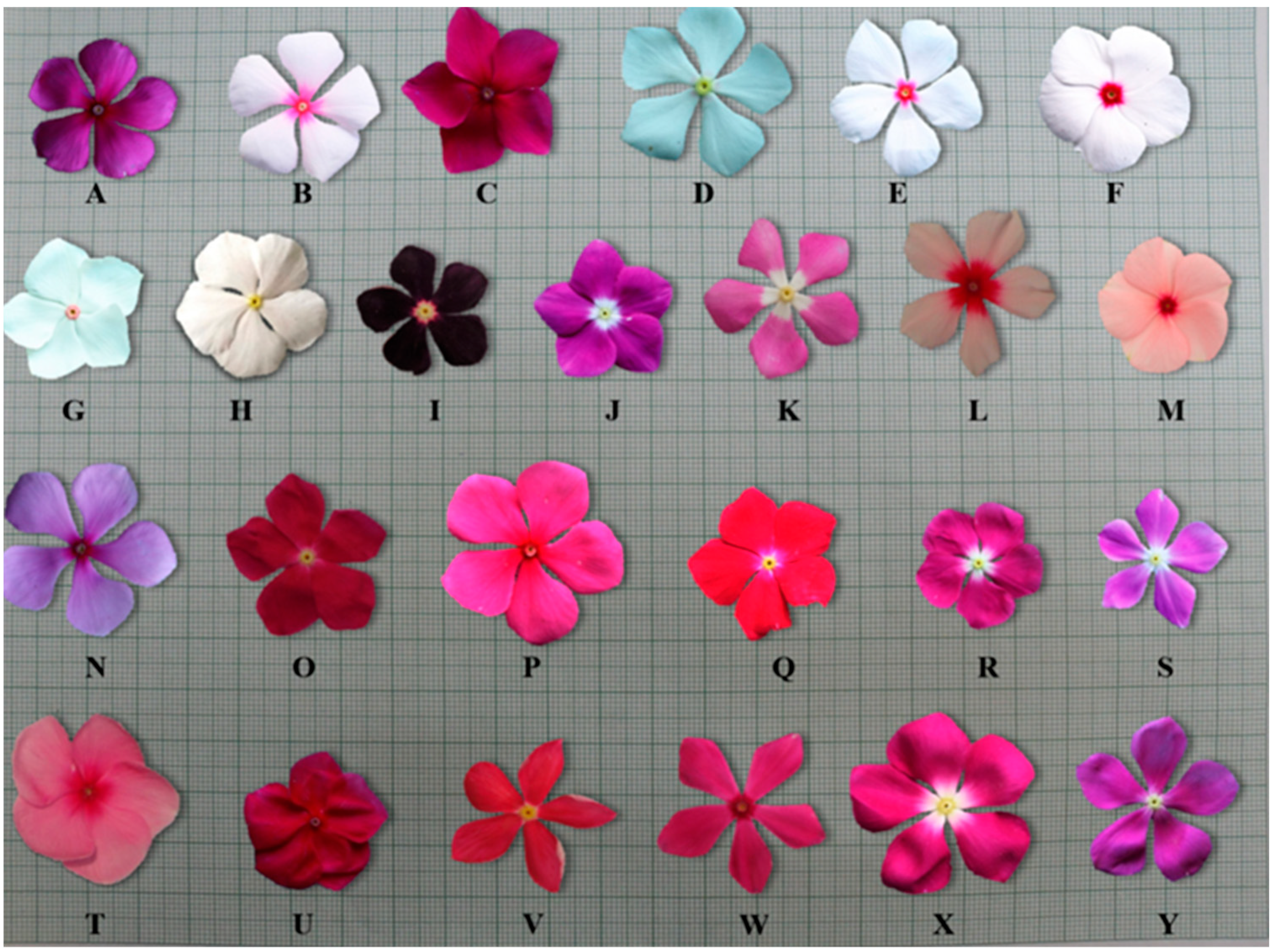 Separations 10 00340 g001