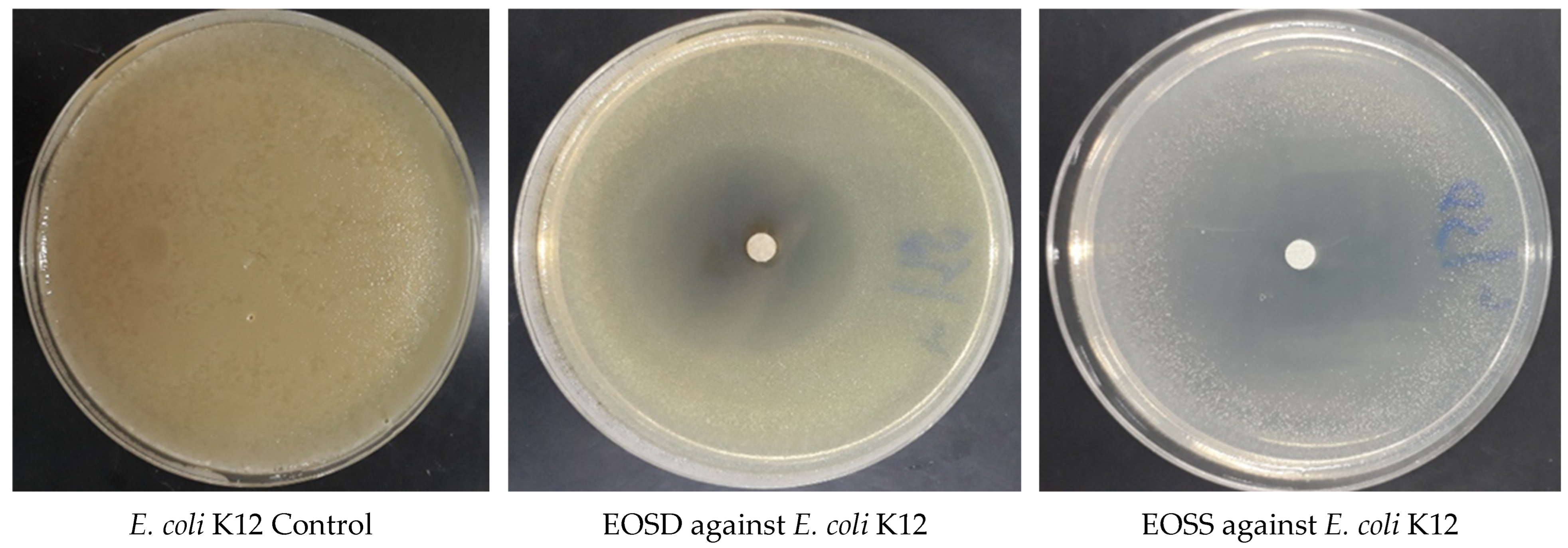 Separations 10 00344 g004