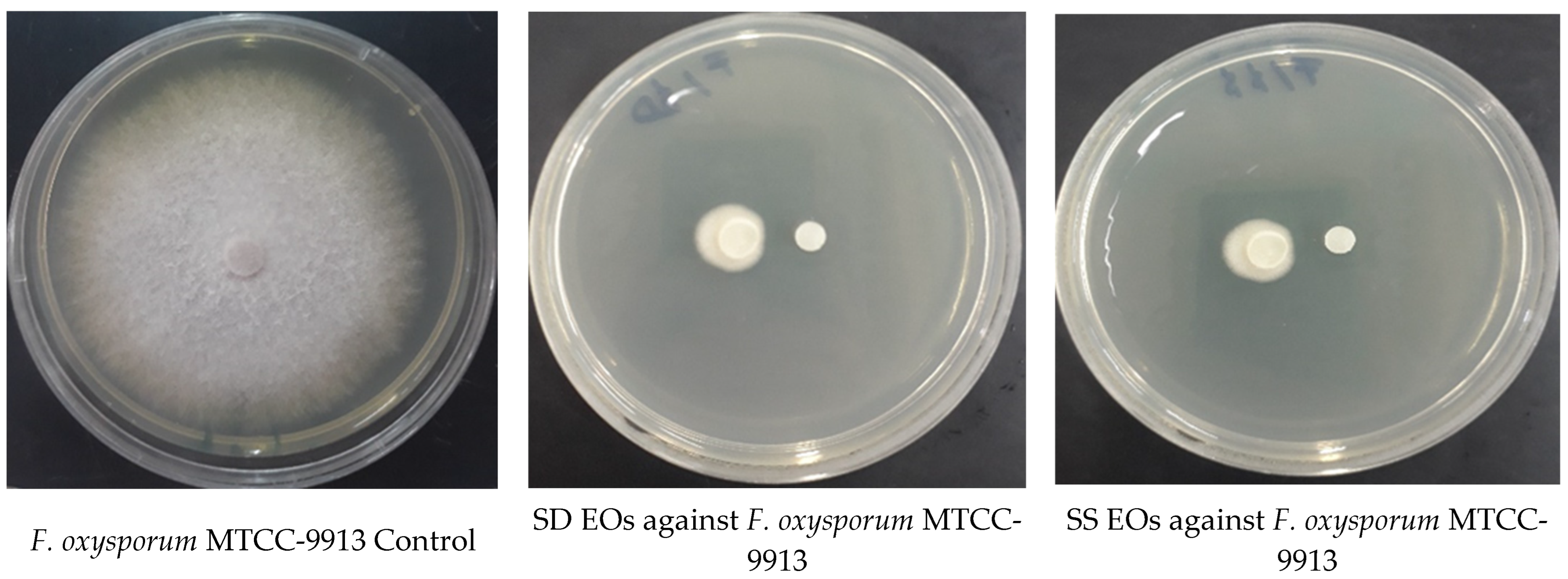 Separations 10 00344 g005