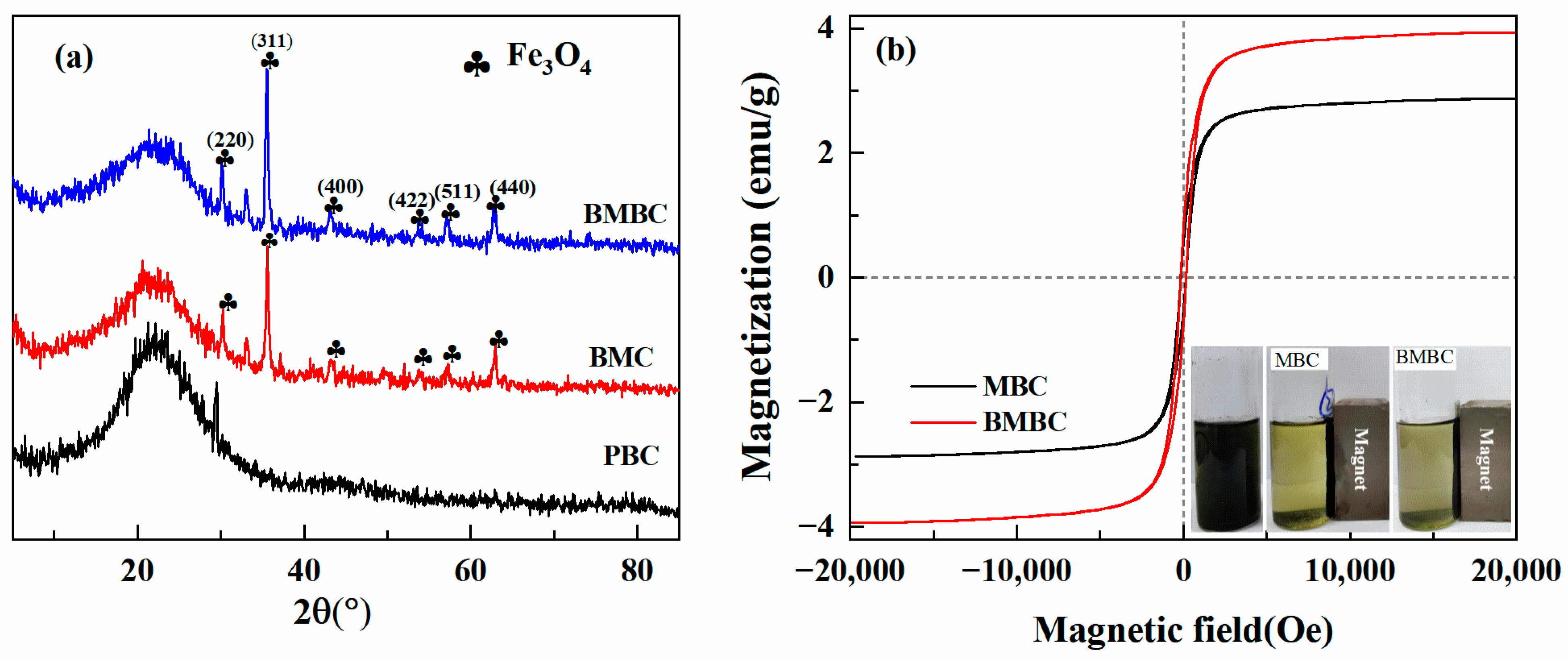 Separations 10 00358 g002