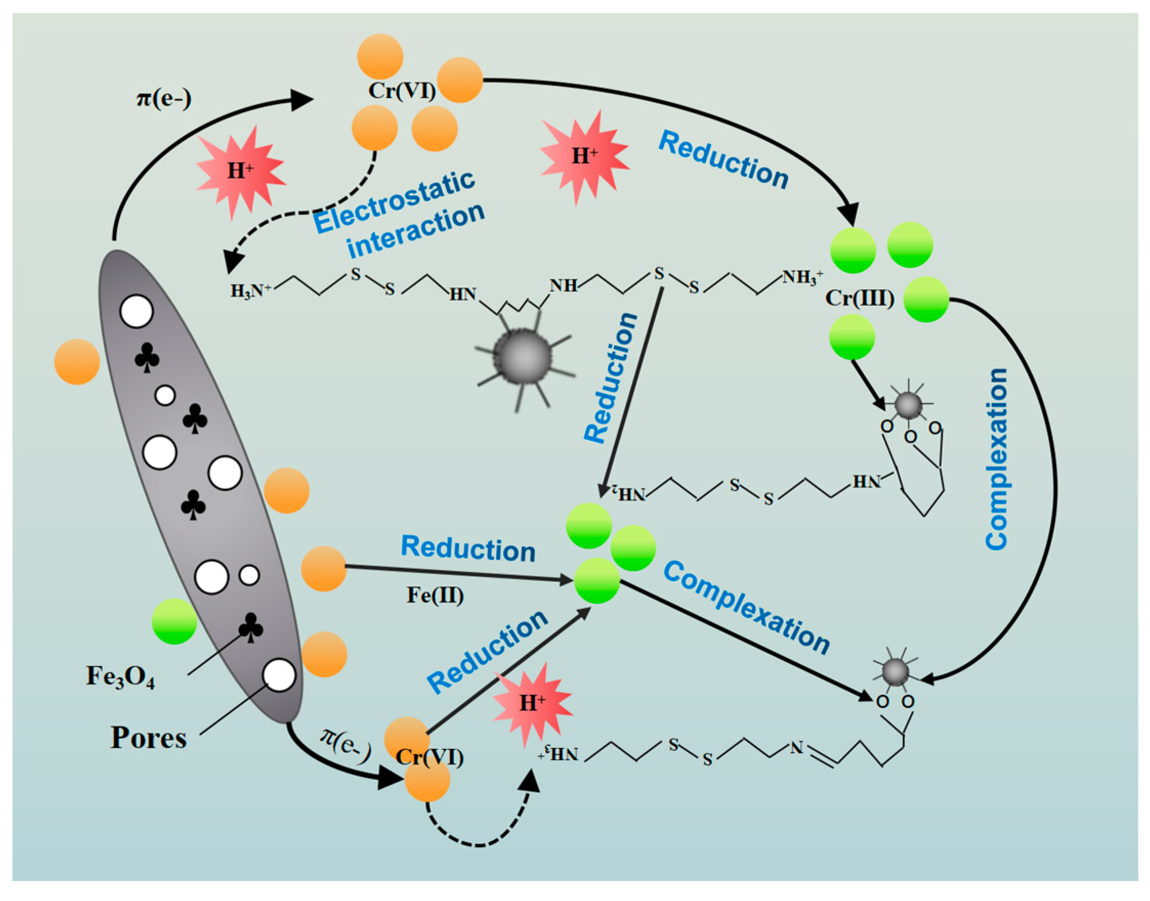 Separations 10 00358 g010