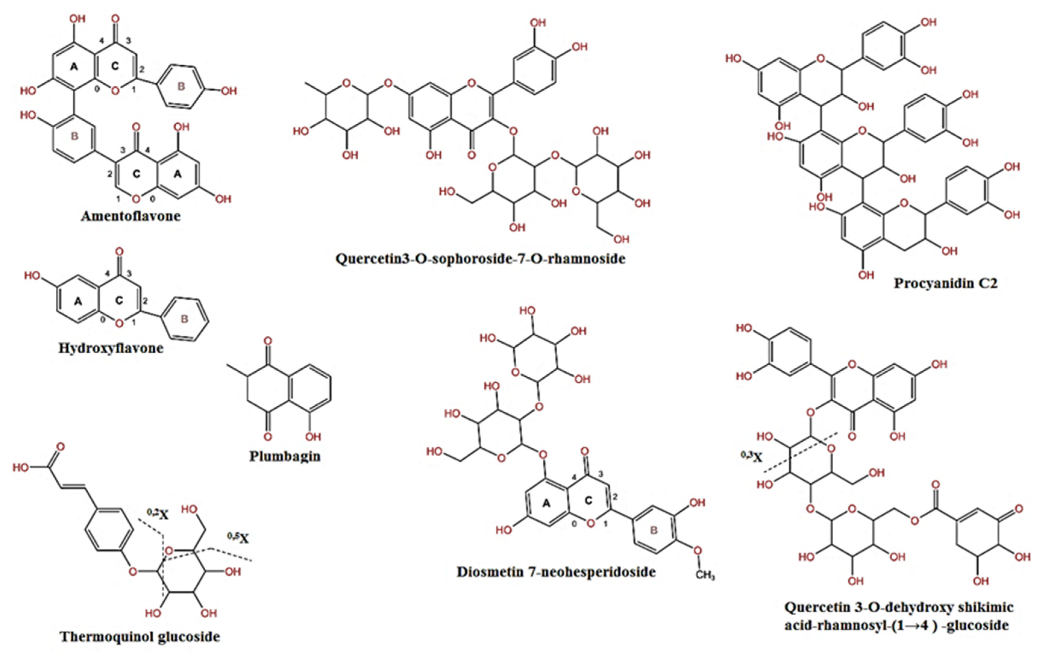 Separations 10 00360 g002 Separations 10 00360 g002