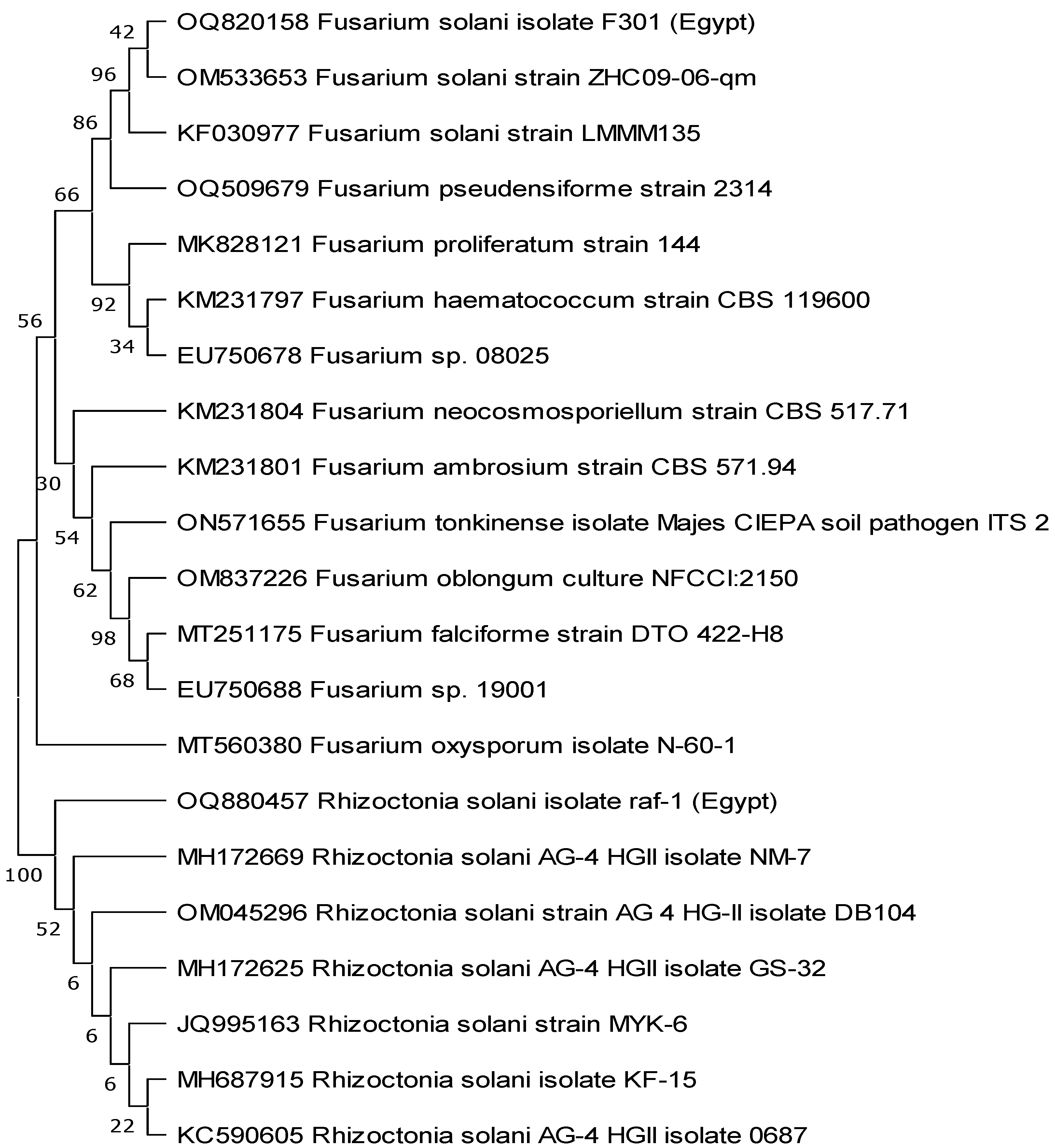 Separations 10 00369 g002