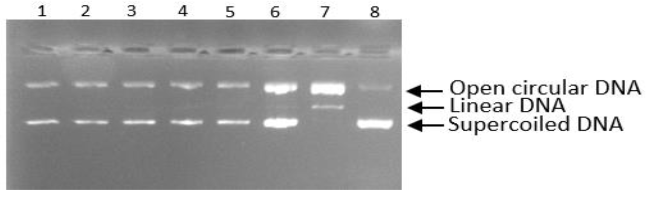 Separations 10 00373 g006
