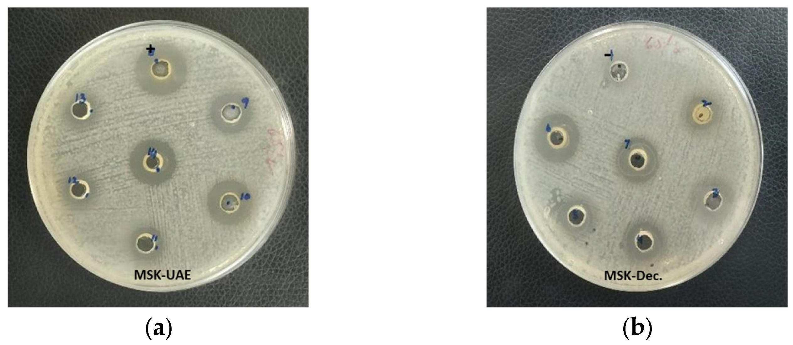 Separations 10 00376 g003