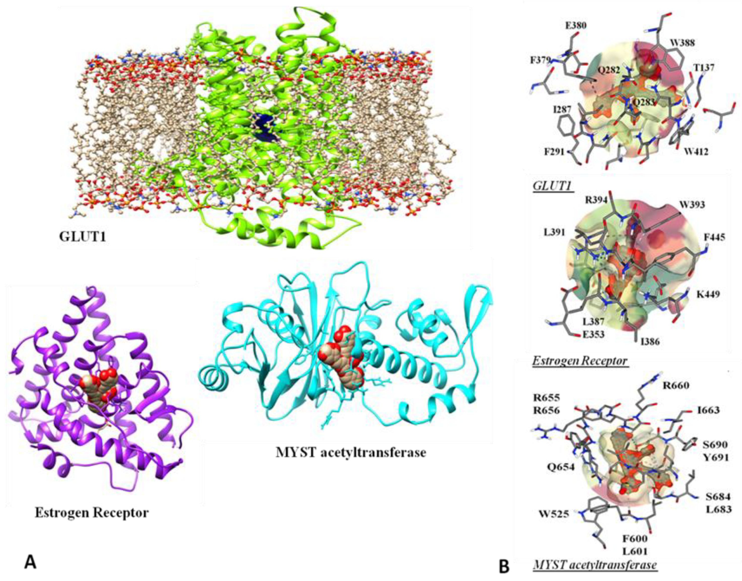 Separations 10 00388 g006