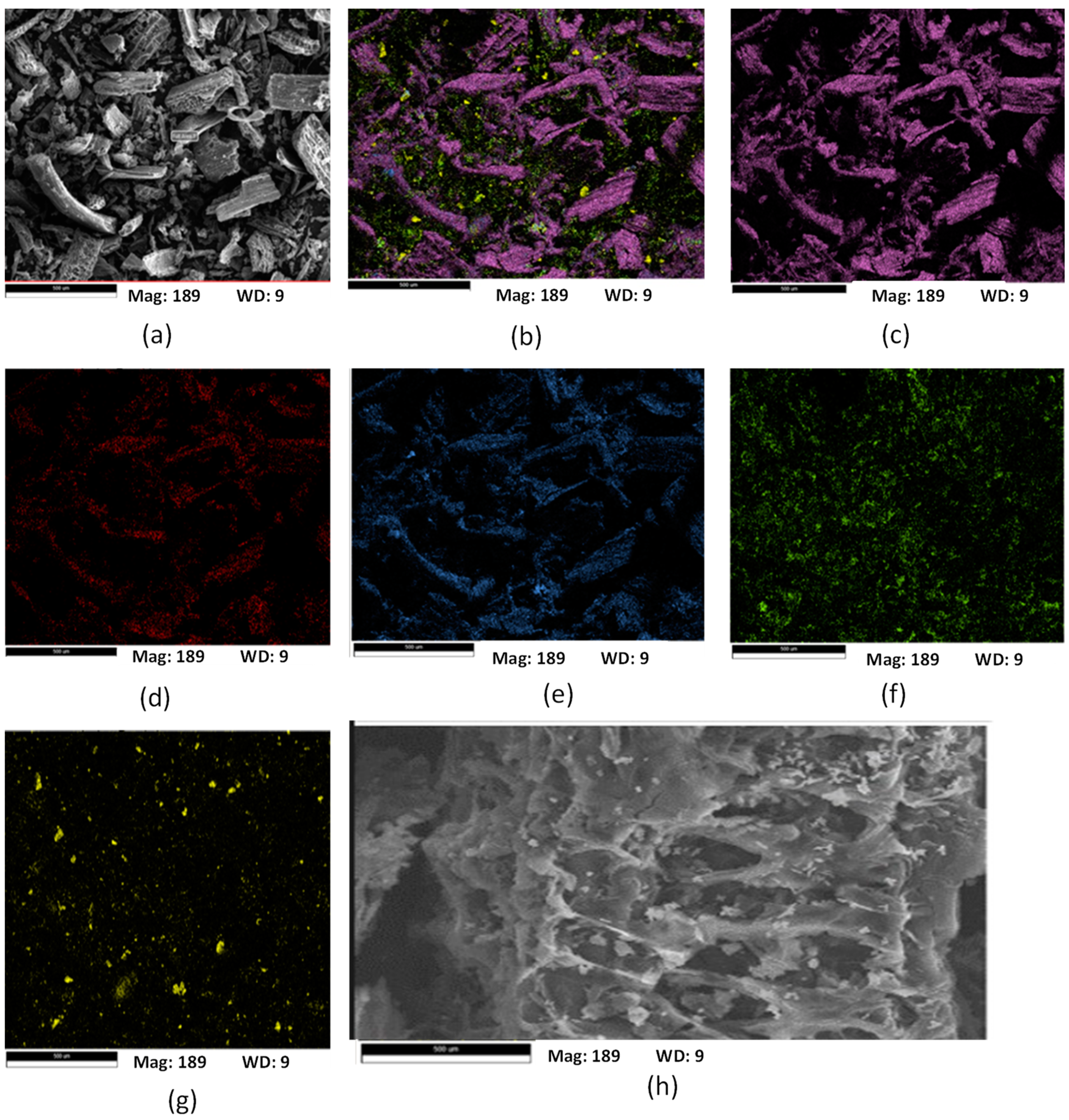 Separations 10 00389 g010