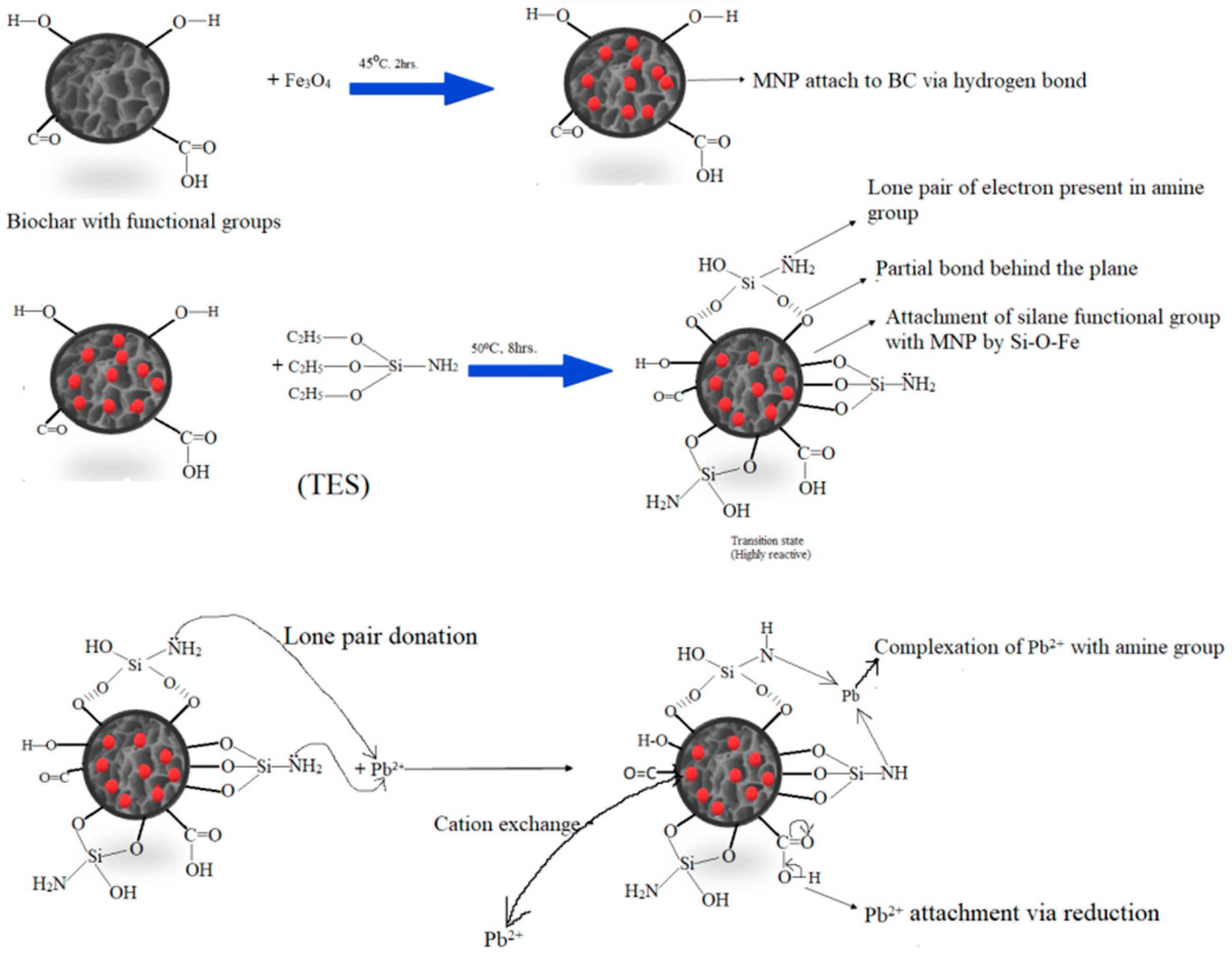 Separations 10 00389 g012