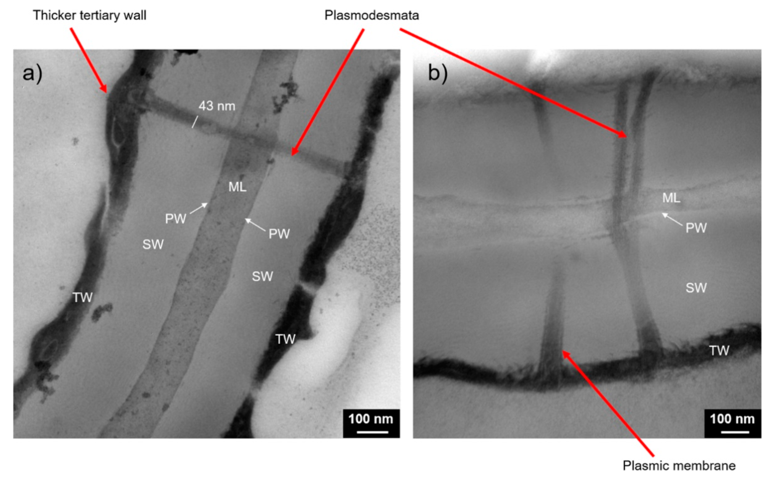 Separations 10 00390 g003