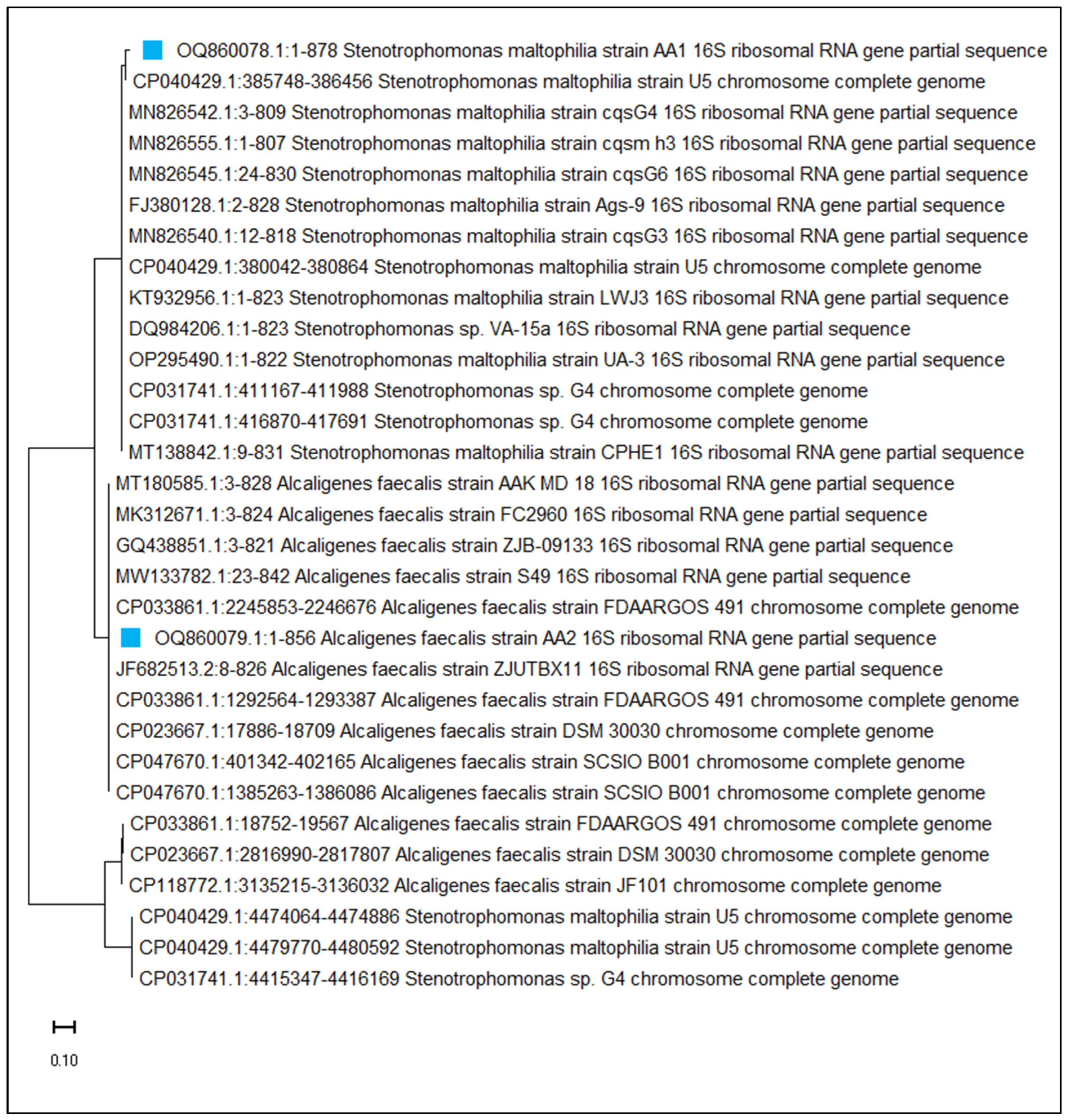 Separations 10 00395 g001