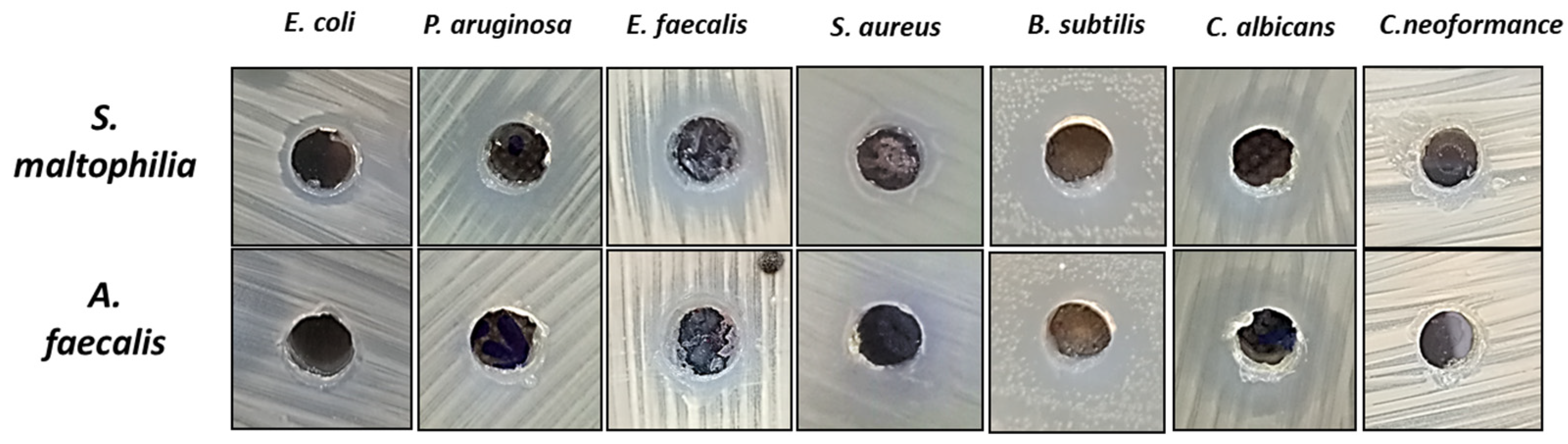 Separations 10 00395 g005