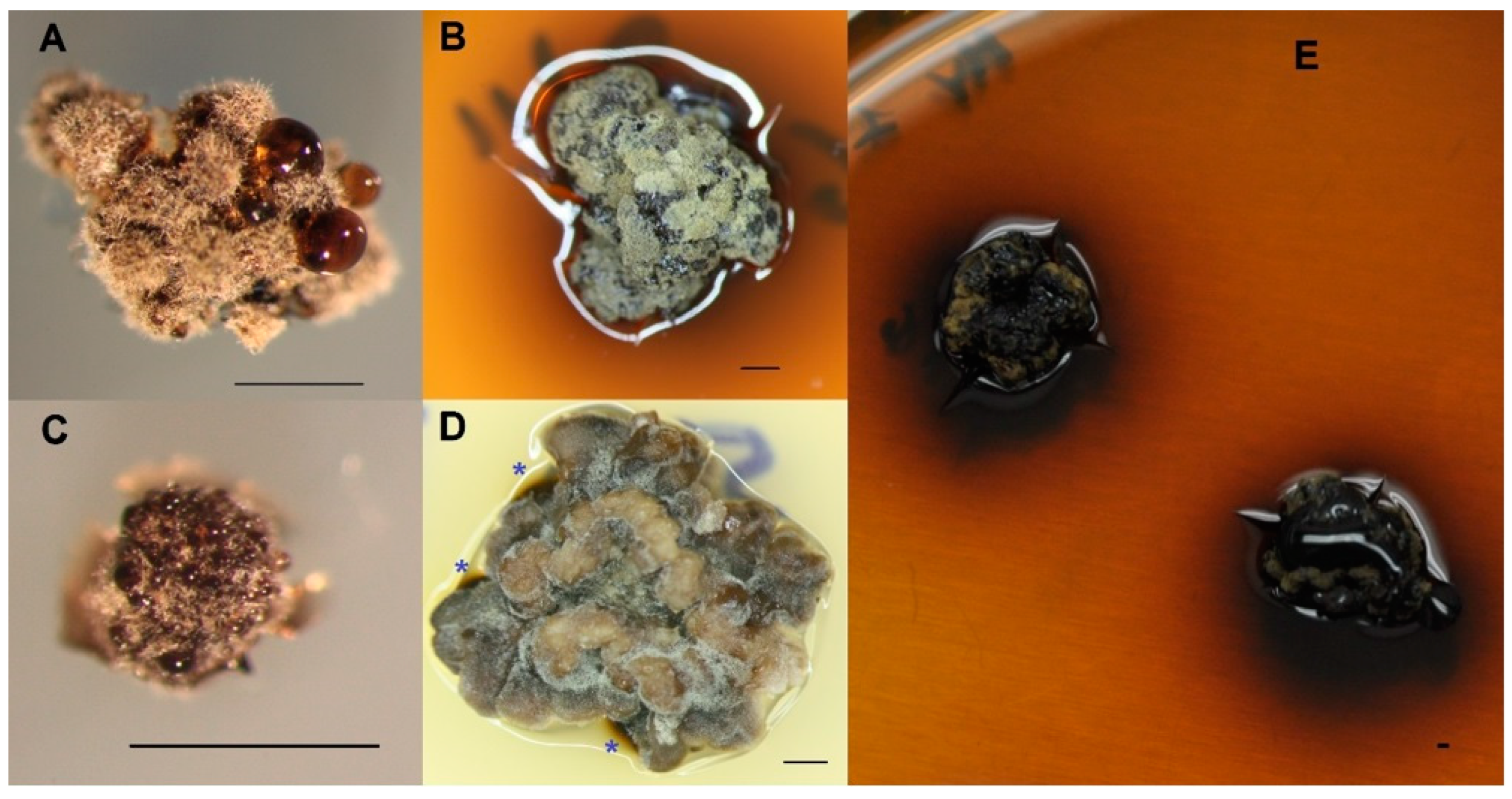 Separations 10 00399 g001